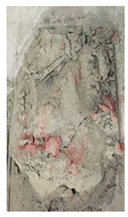 Applsci 14 05389 i002