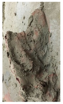 Applsci 14 05389 i018