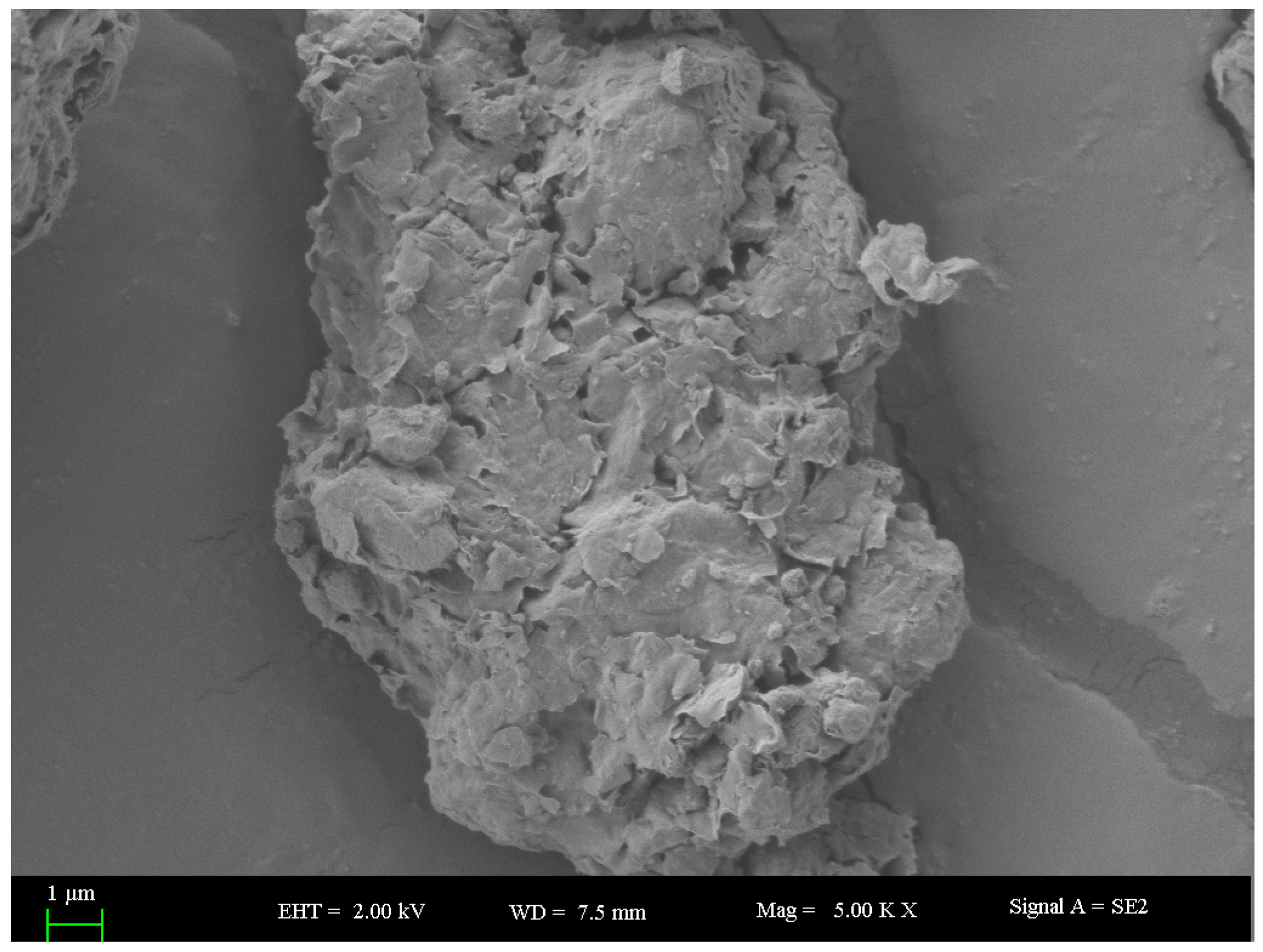 Applsci 14 05397 g001