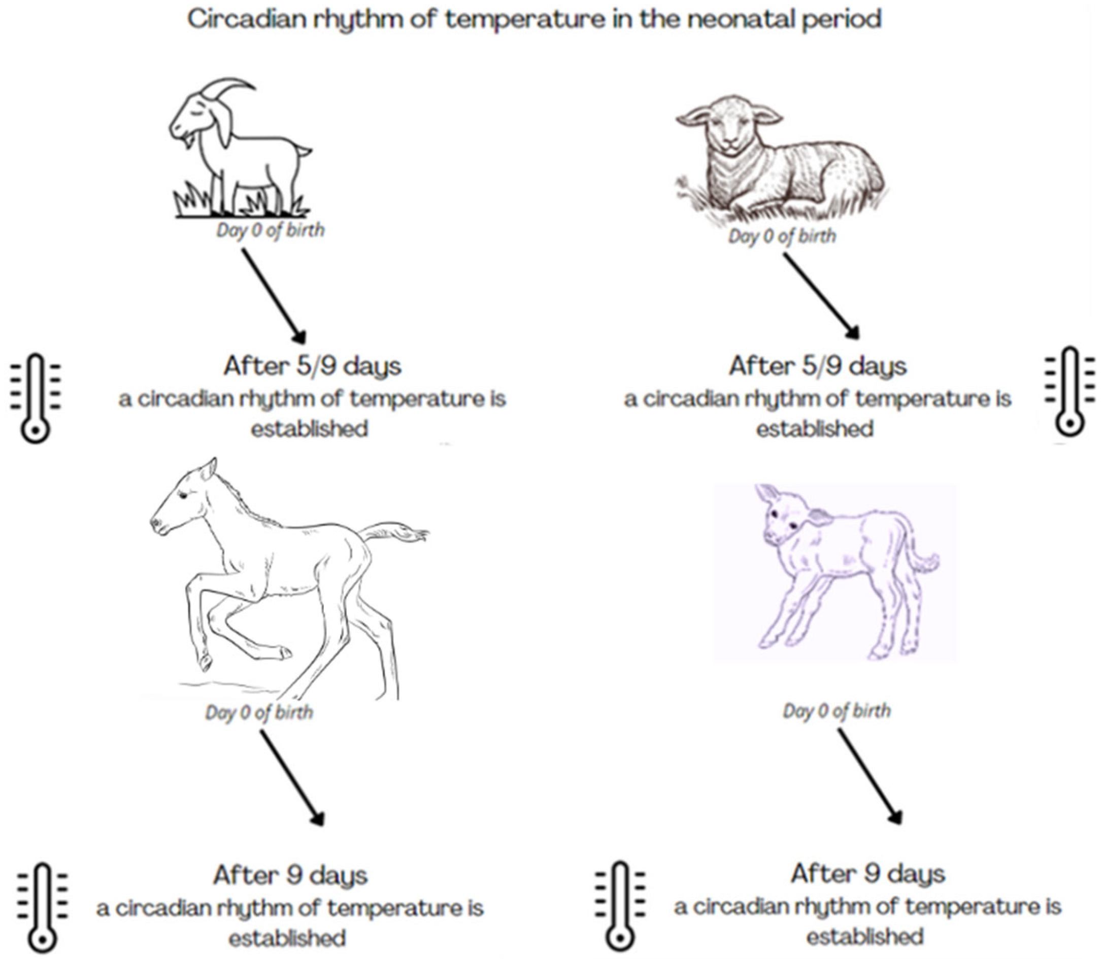 Applsci 14 05413 g004