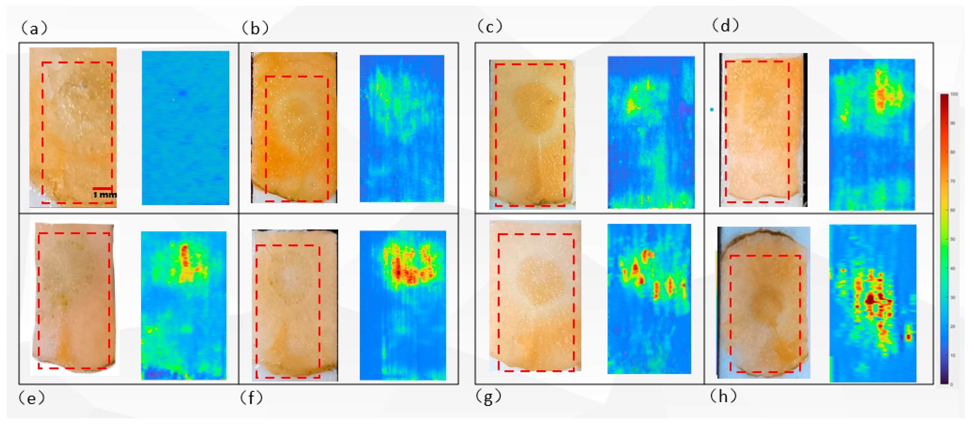 Applsci 14 05431 g009