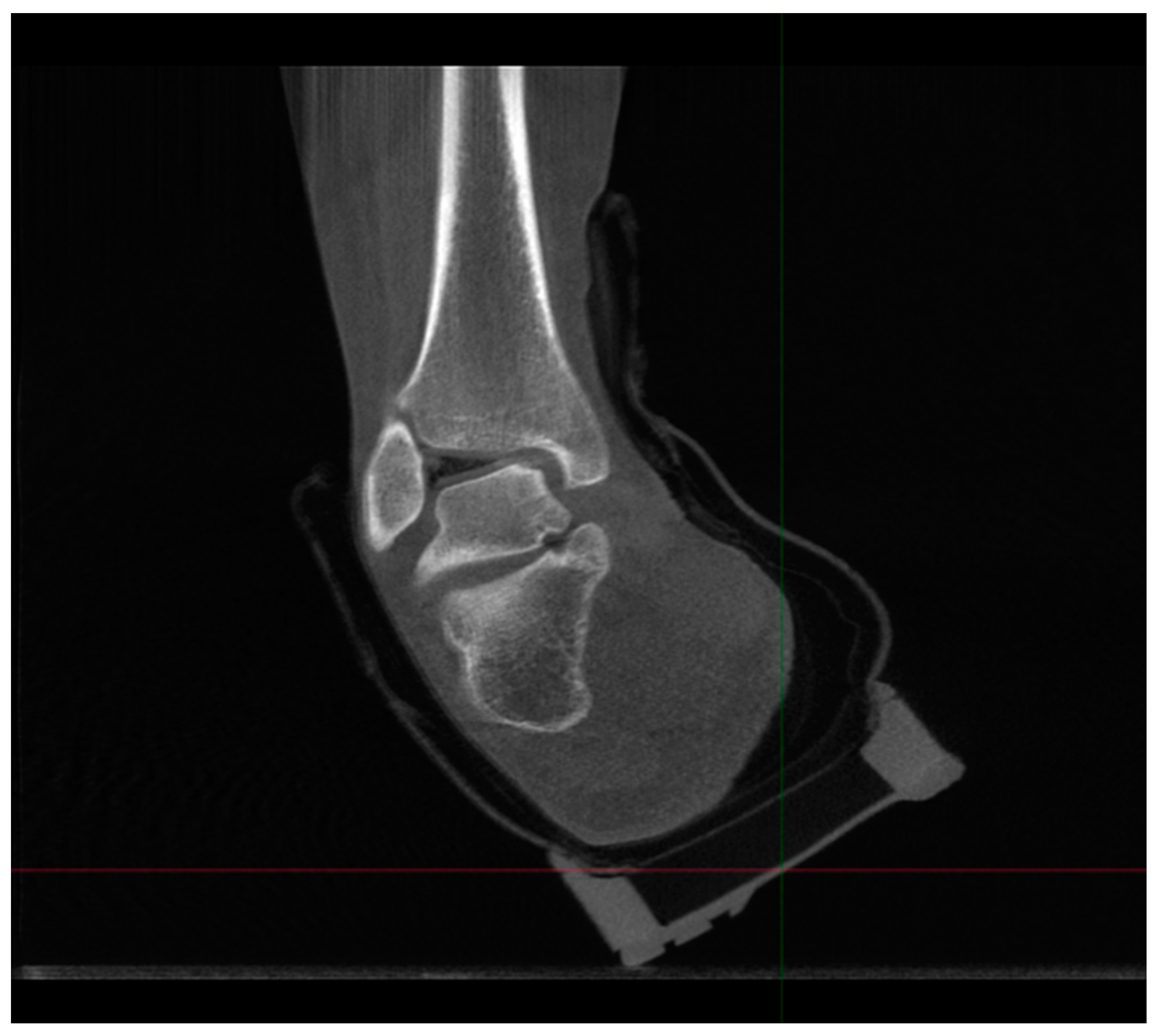 Applsci 14 05562 g005