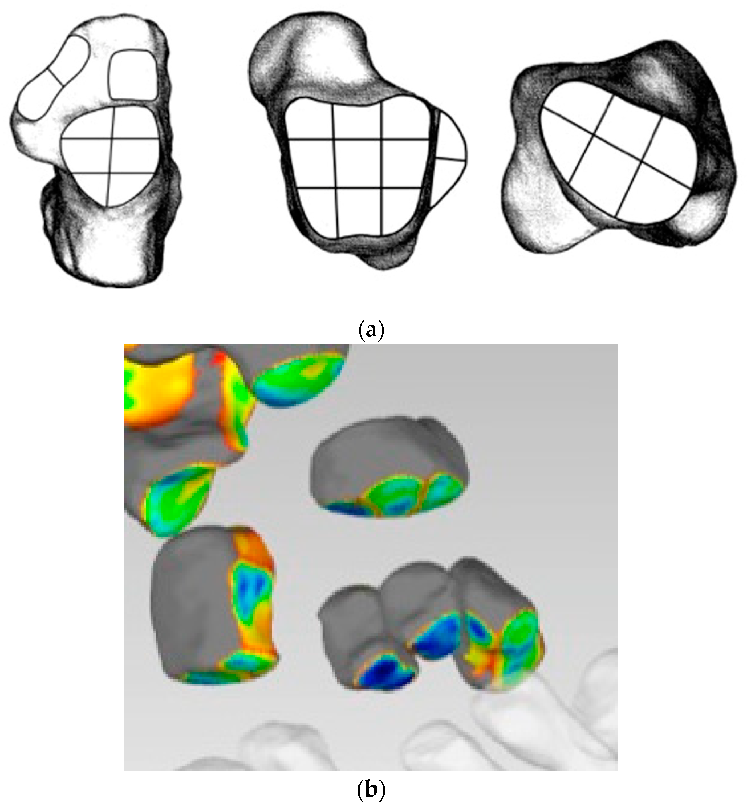 Applsci 14 05562 g009