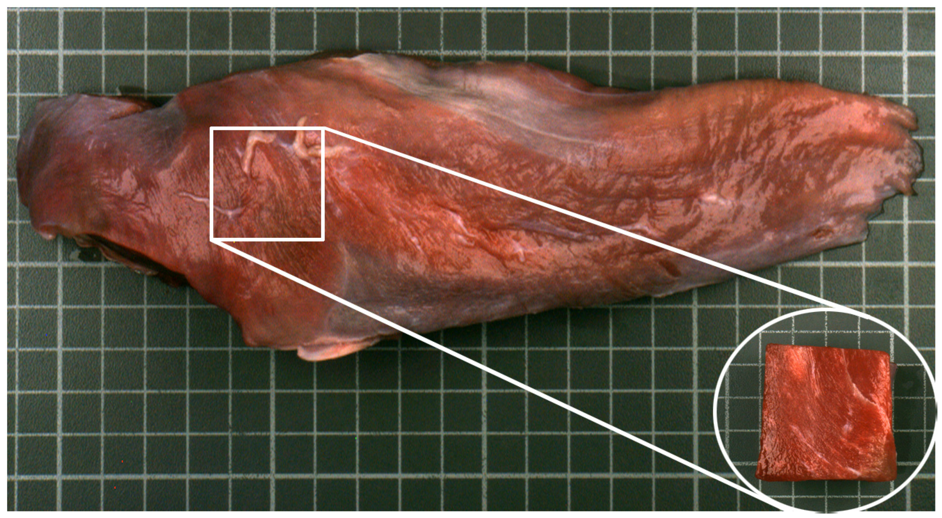 Applsci 14 05567 g002