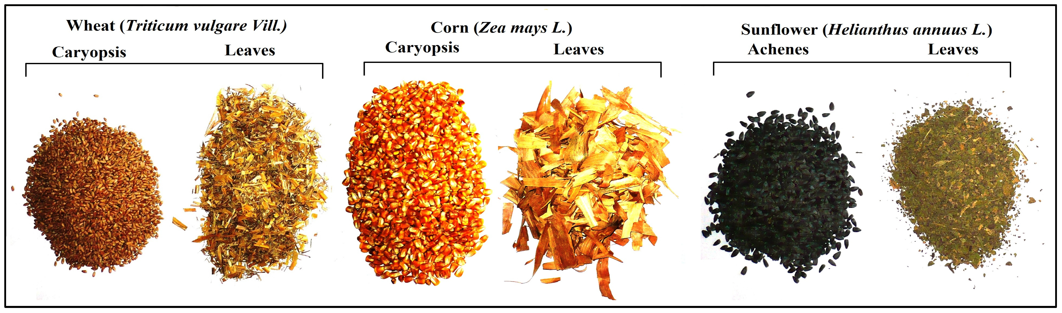 Applsci 14 05616 g003