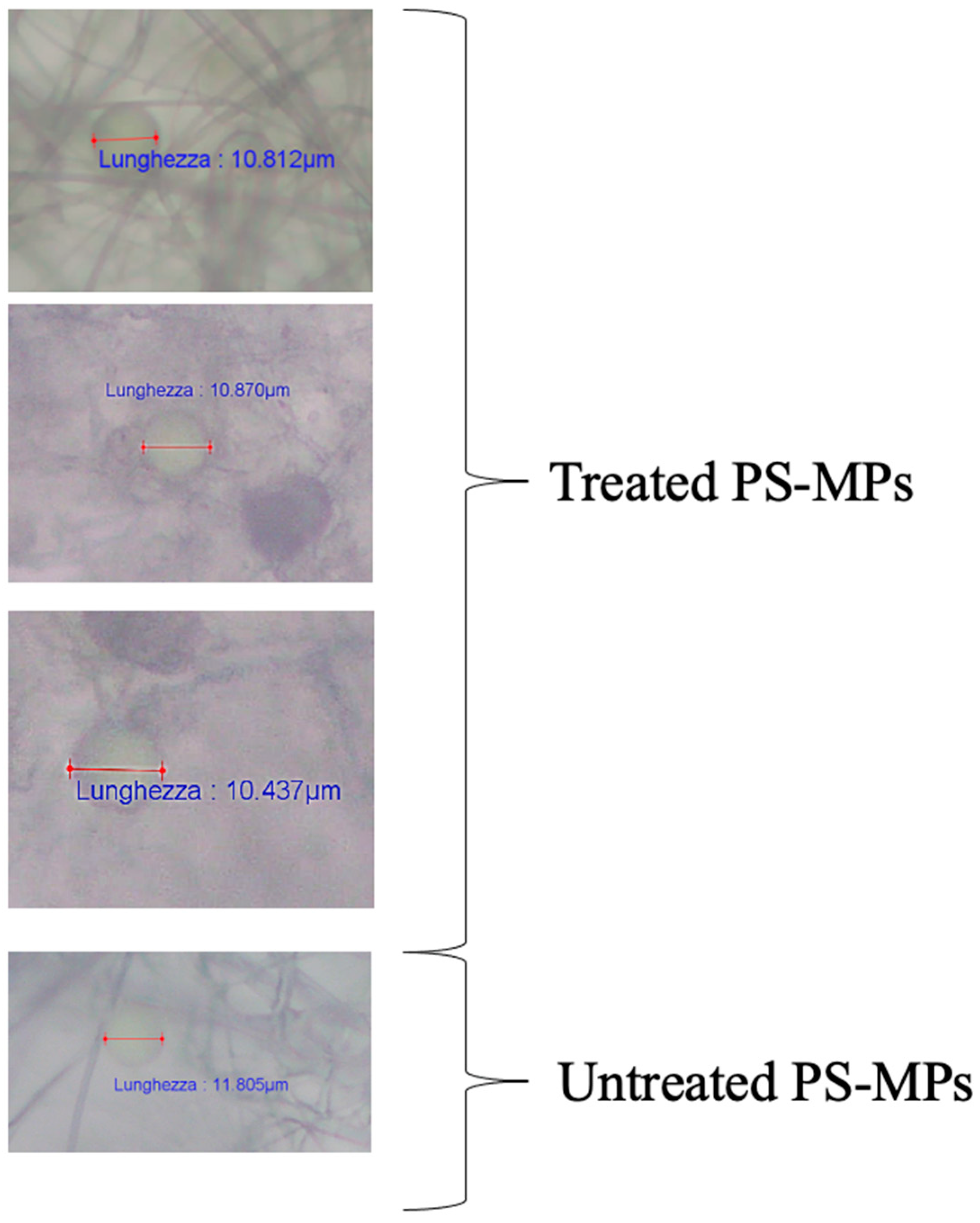 Applsci 14 05621 g004