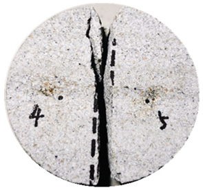 Applsci 14 05734 i016