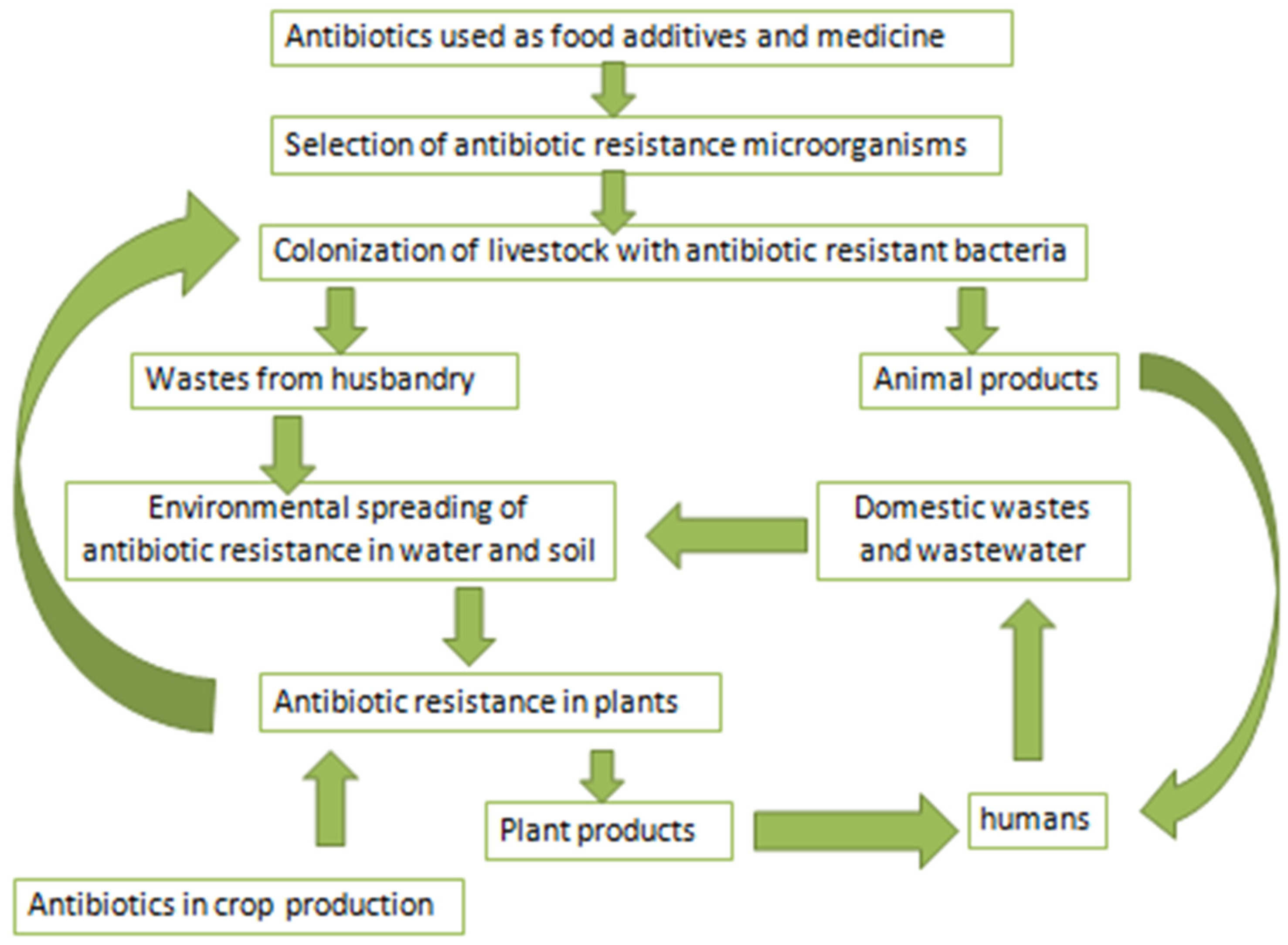 Applsci 14 05776 g005