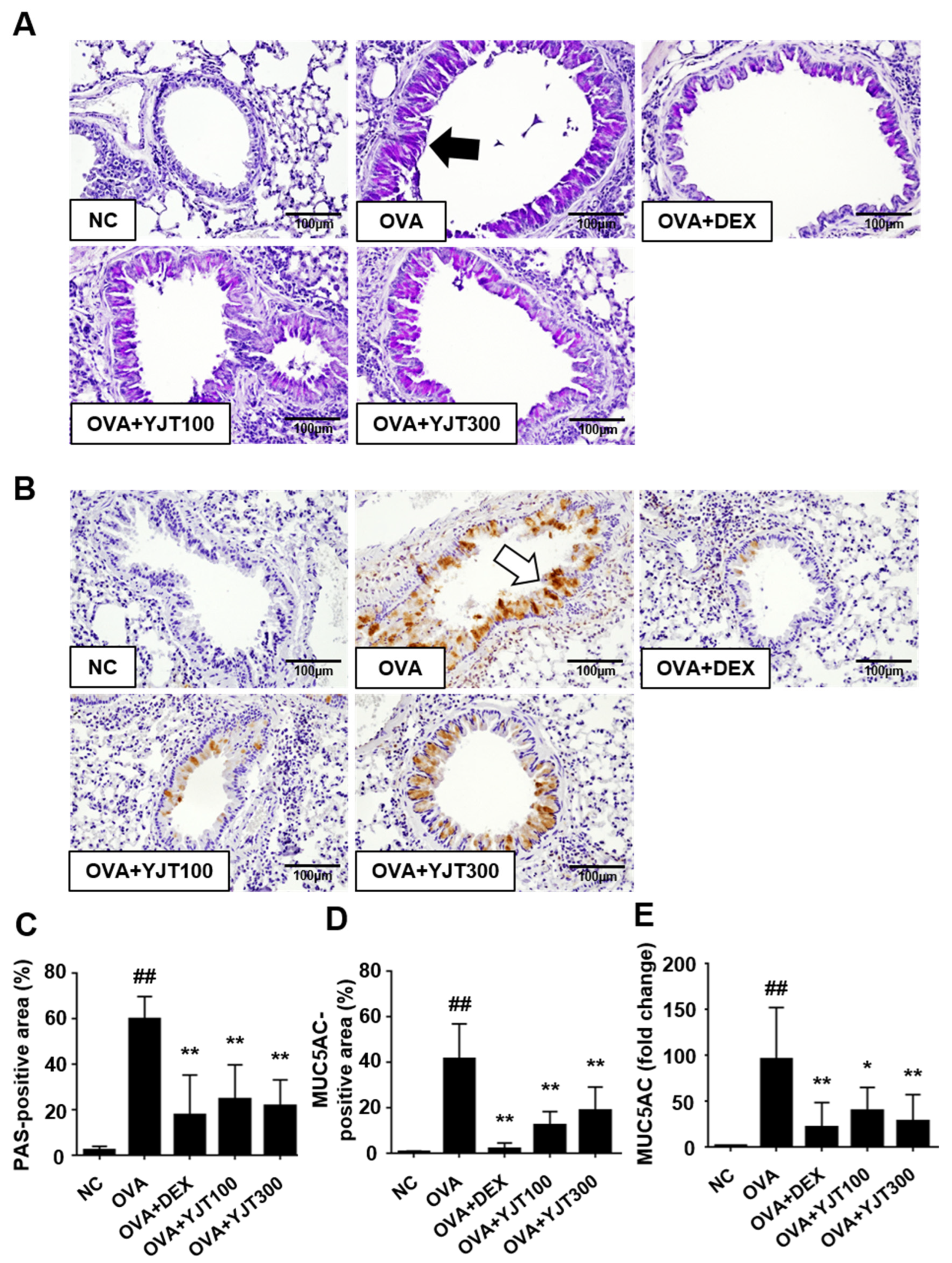 Applsci 14 05815 g006 Applsci 14 05815 g006