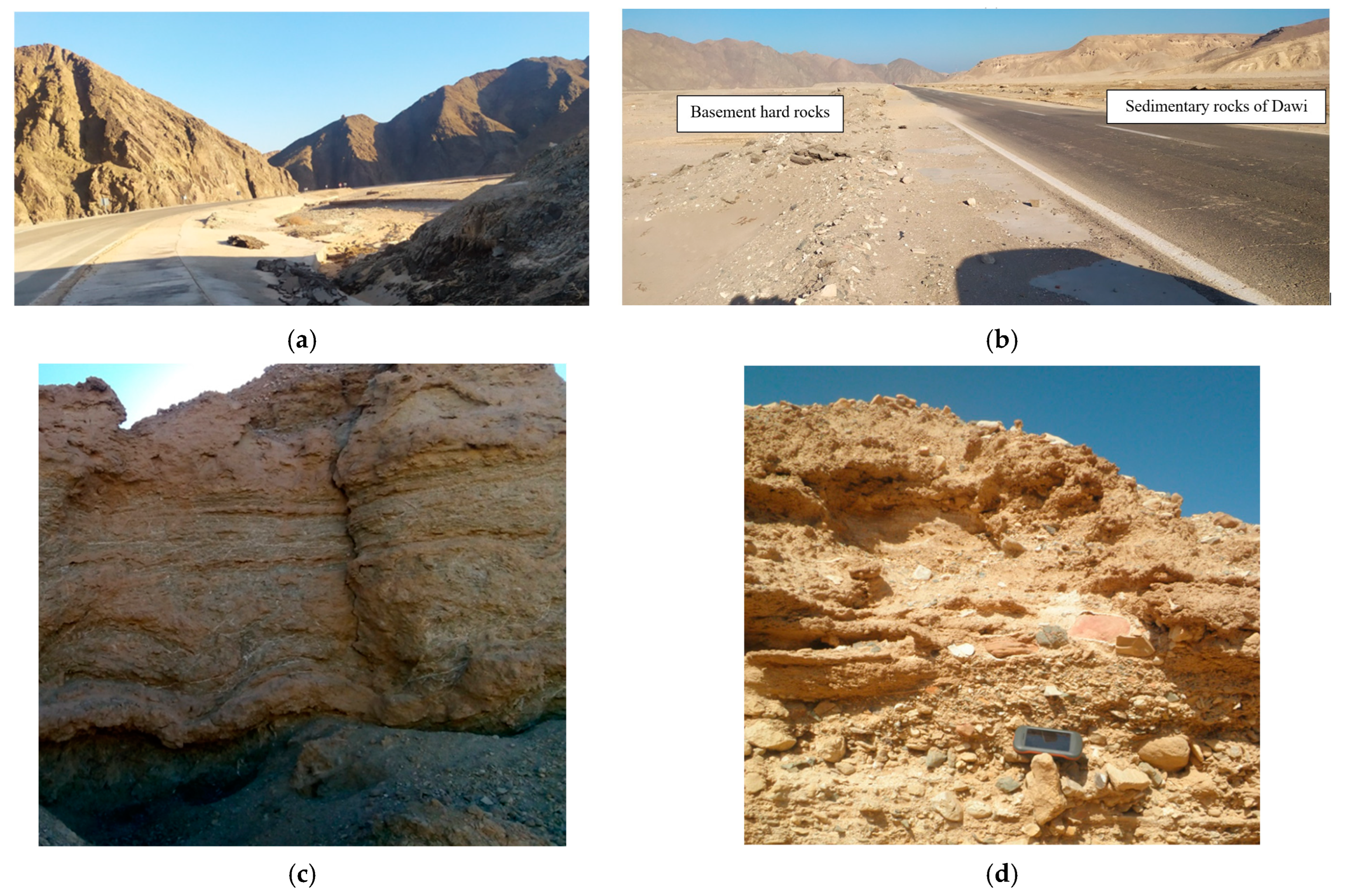 Applsci 14 05844 g011