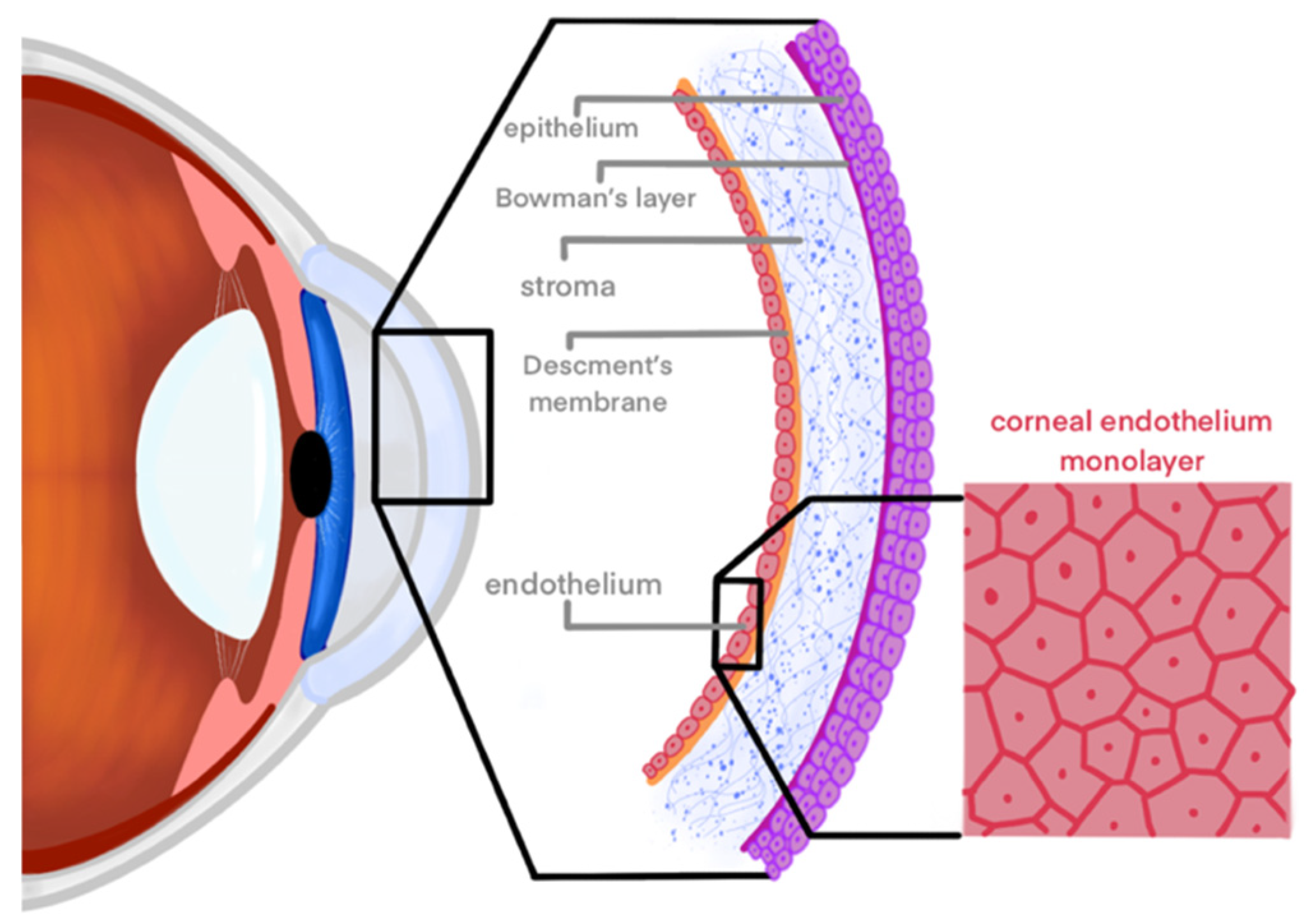 Applsci 14 05877 g001