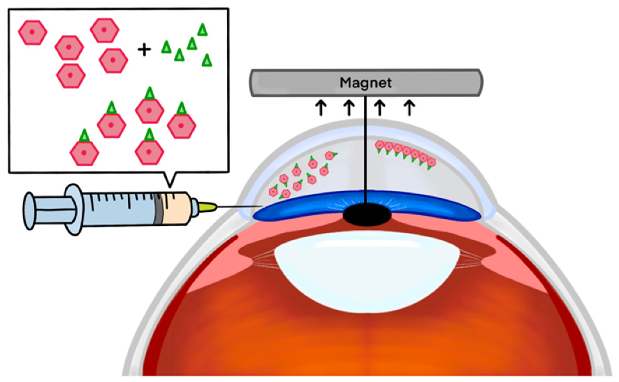 Applsci 14 05877 g002