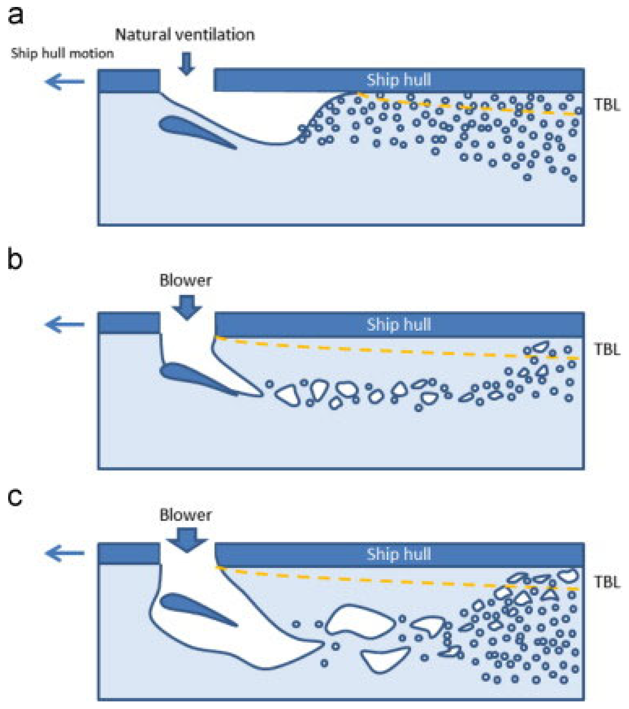 Applsci 14 05888 g005