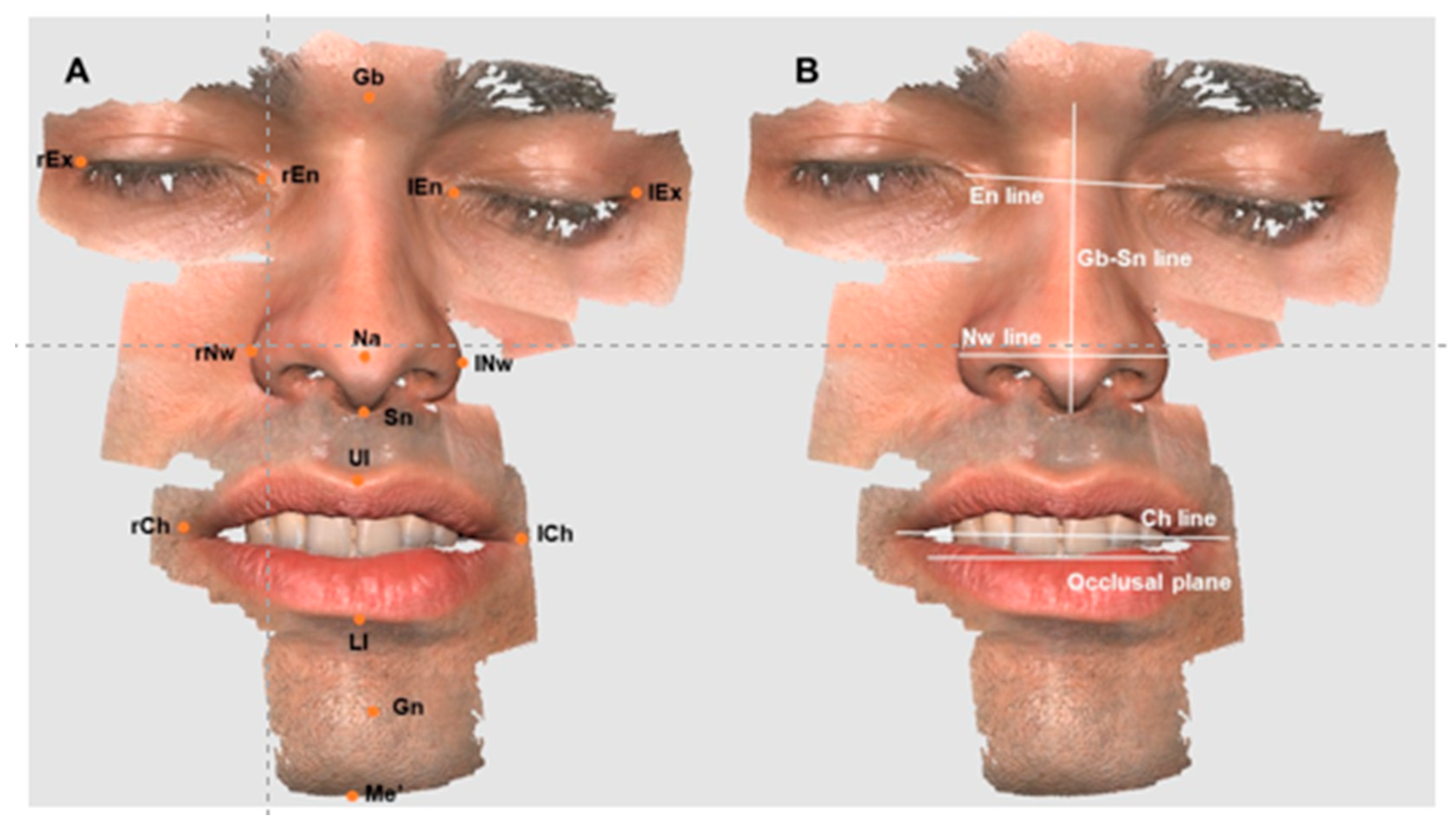 Applsci 14 05892 g002