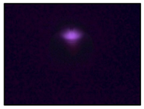 Applsci 14 05998 i008