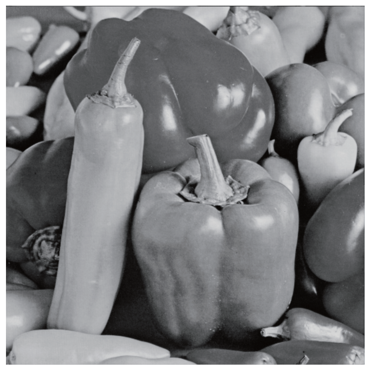 Applsci 14 06376 g013