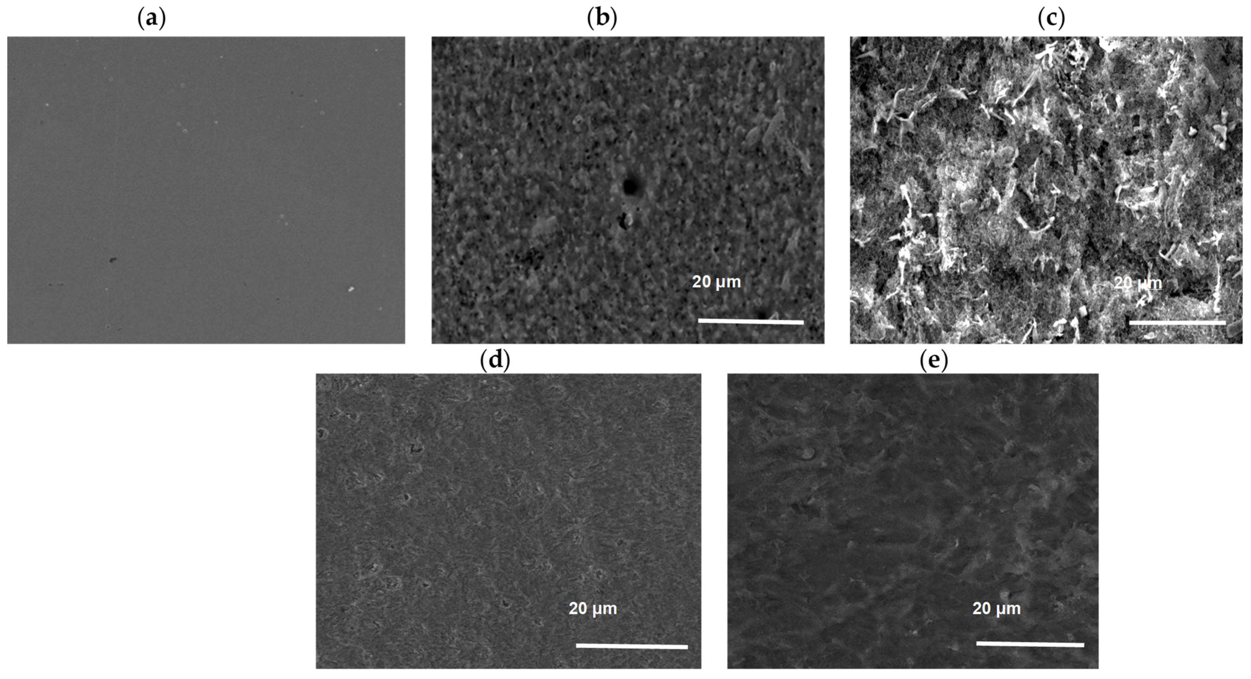 Applsci 14 06392 g006