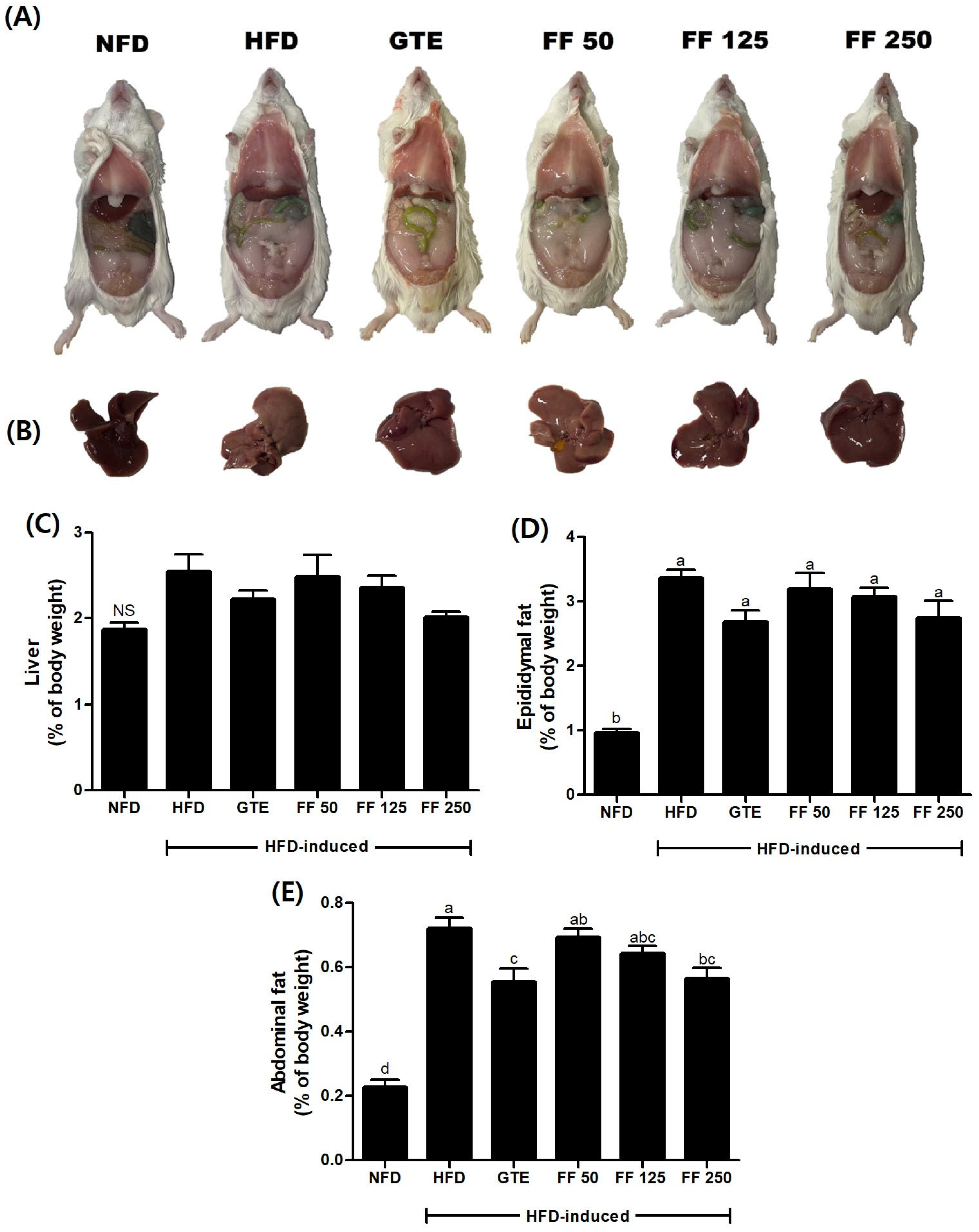 Applsci 14 06412 g002