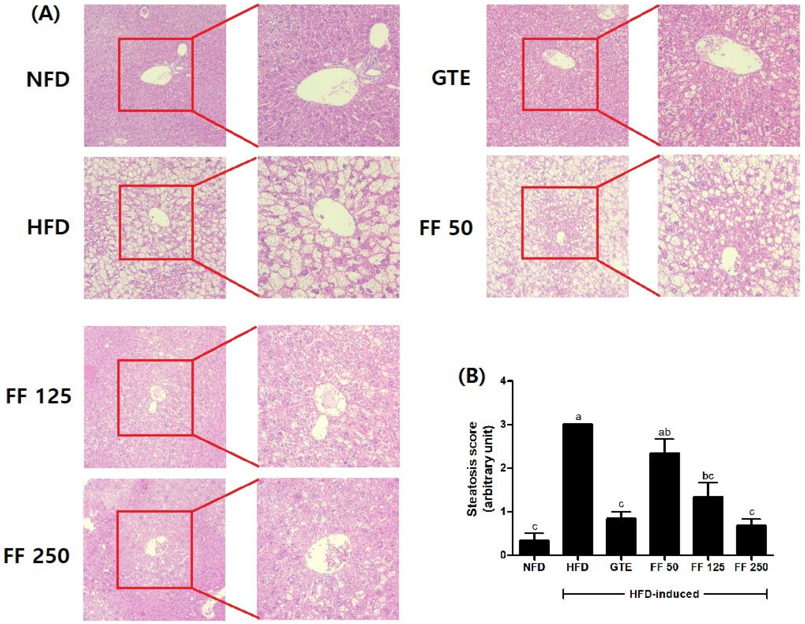 Applsci 14 06412 g004
