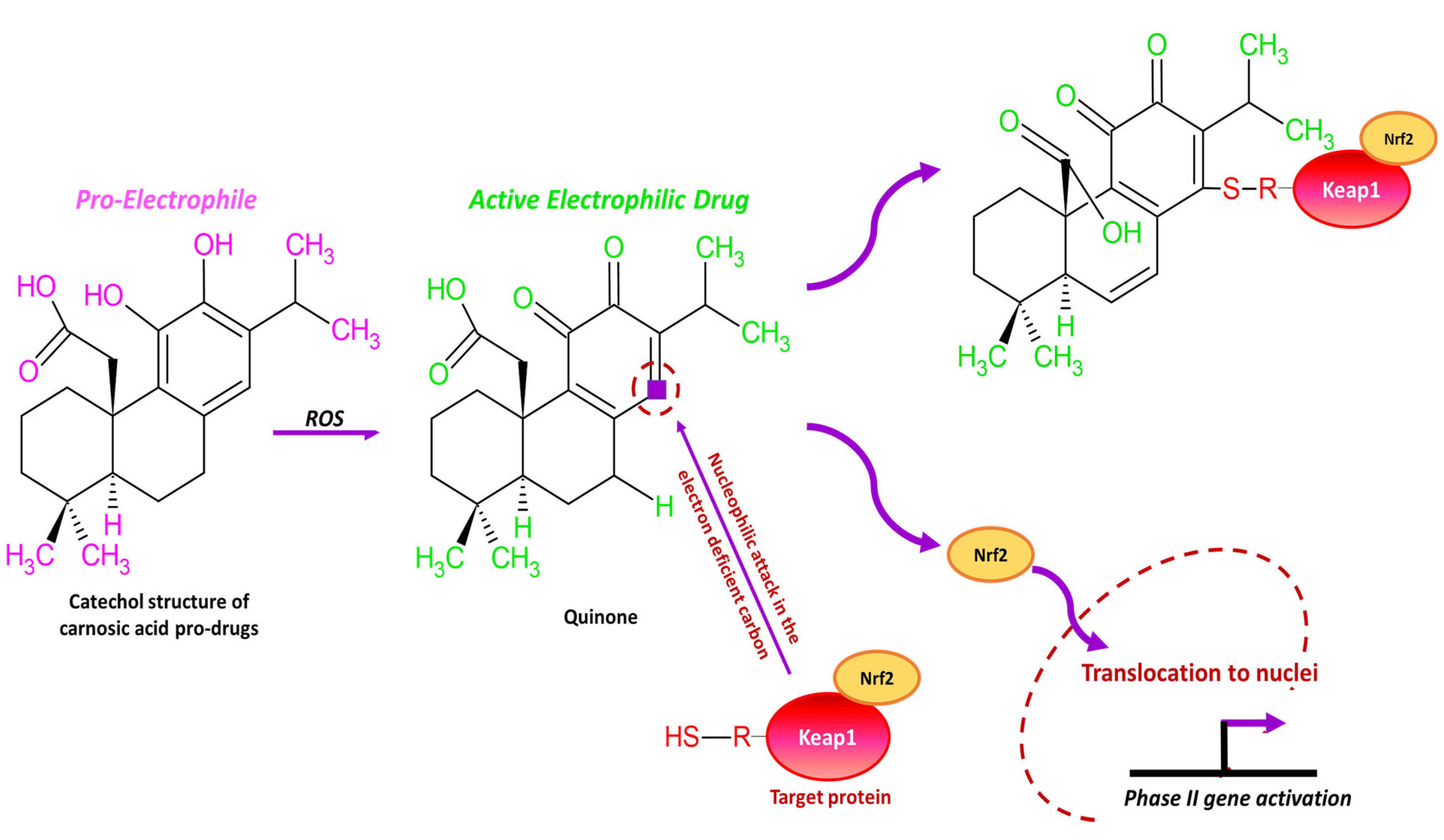 Applsci 14 06417 g003