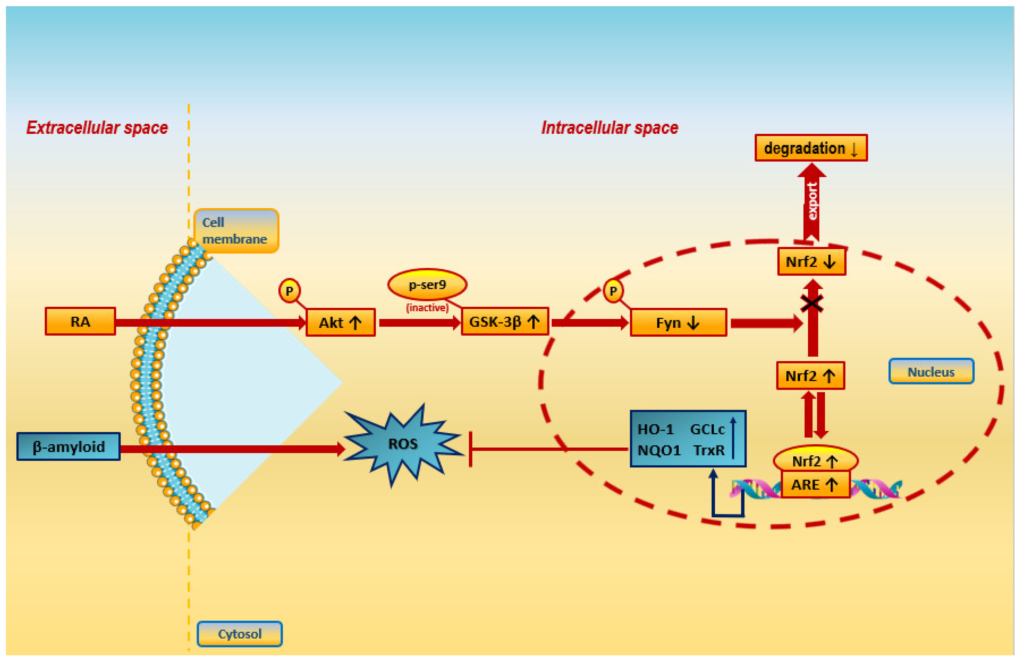 Applsci 14 06417 g004