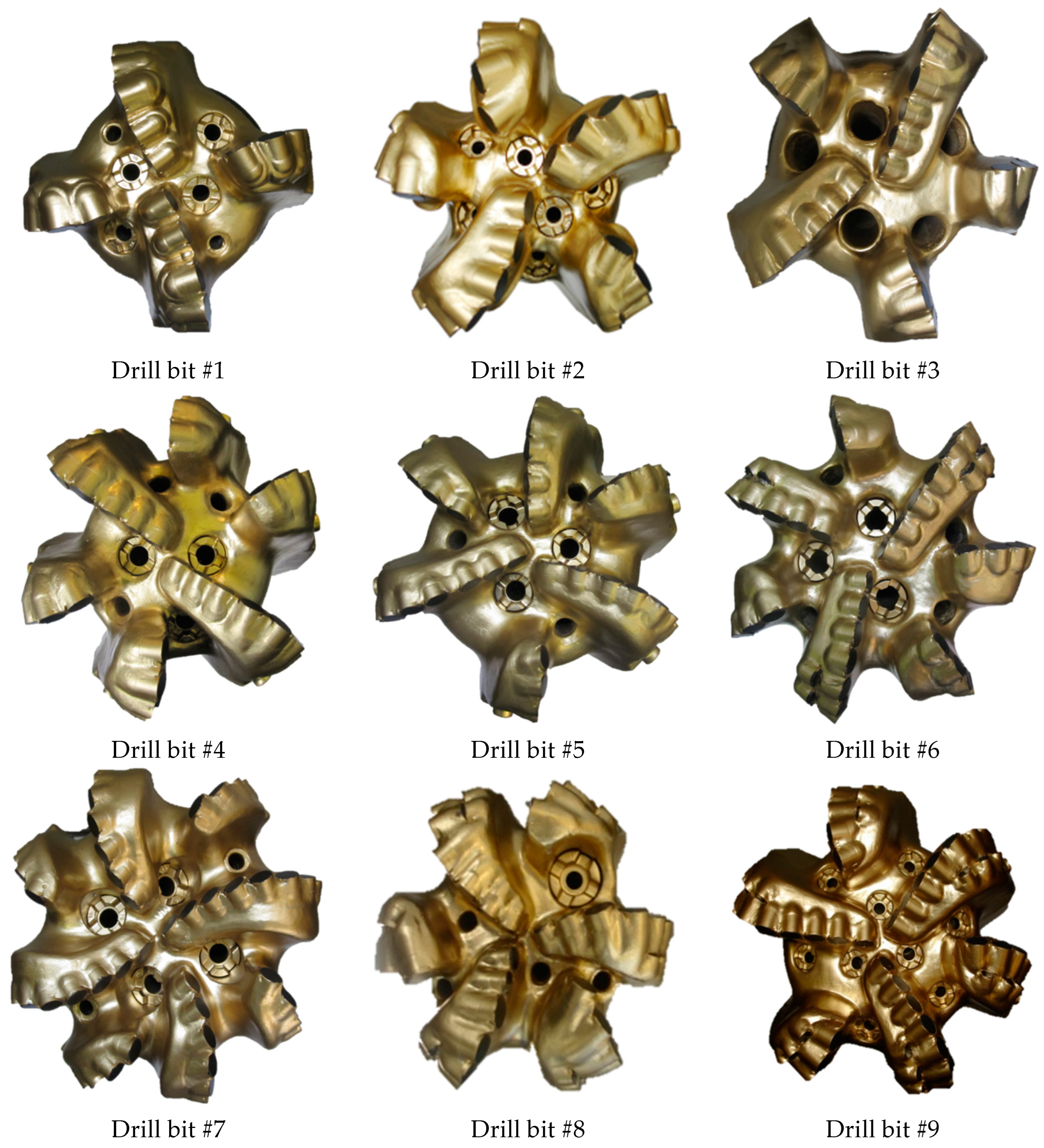 Applsci 14 06419 g001