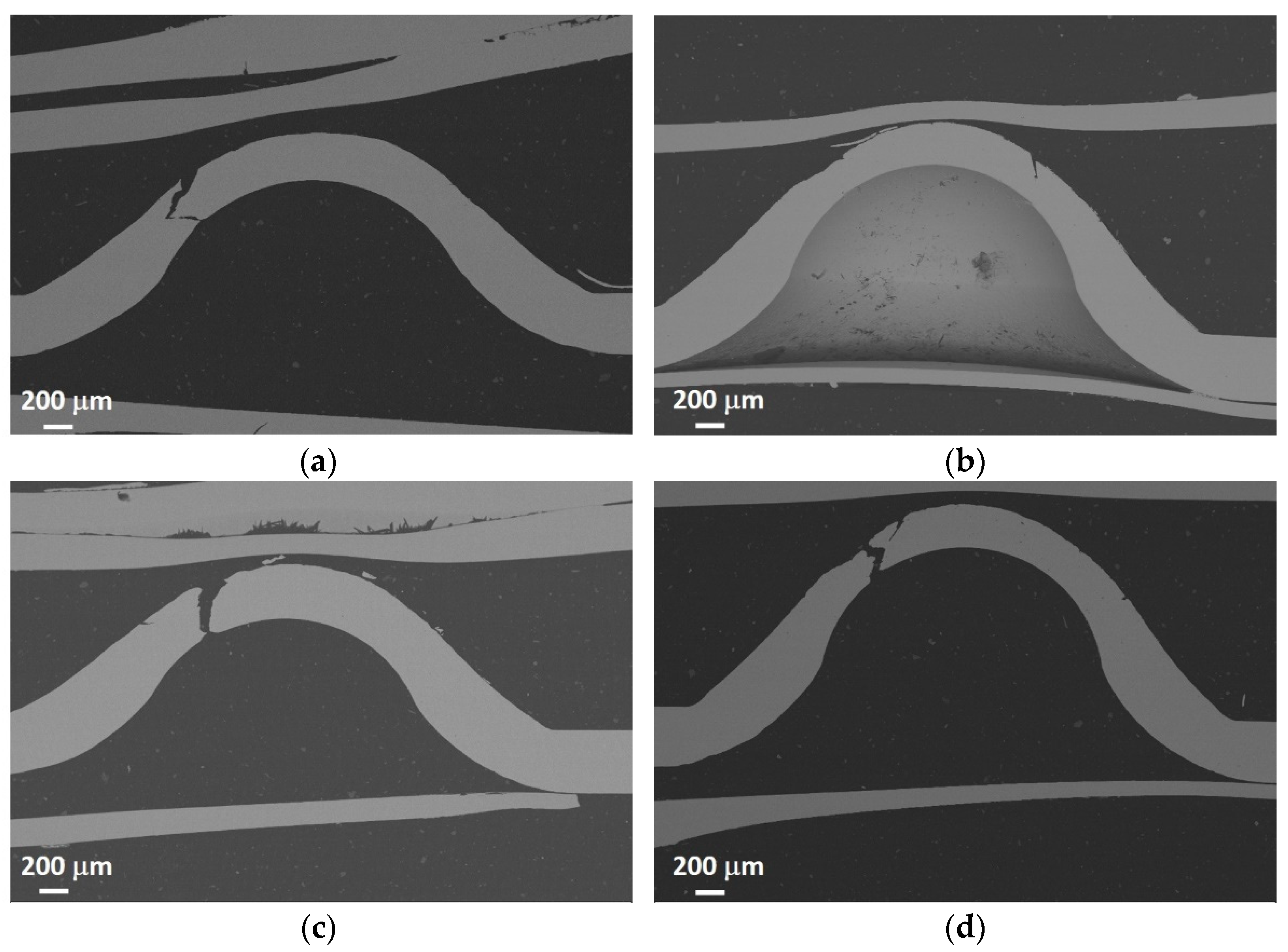 Applsci 14 06420 g011