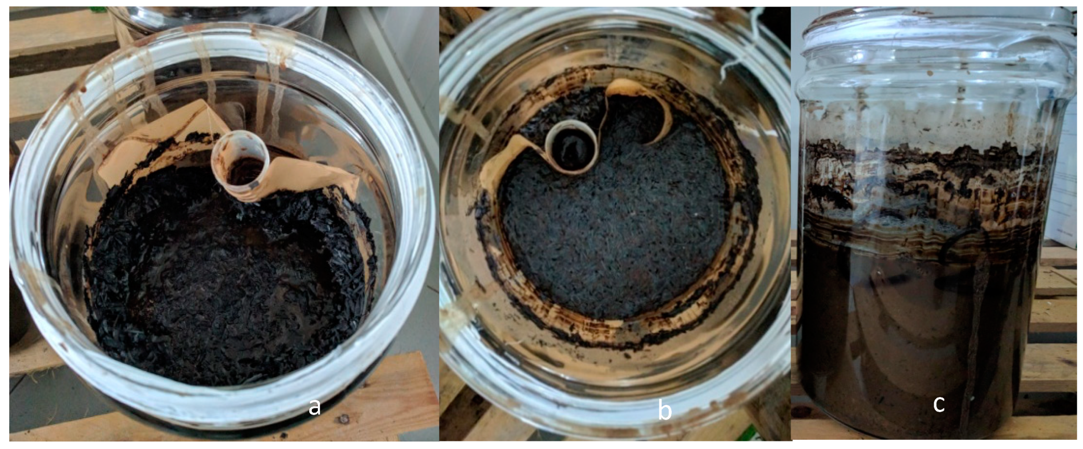 Applsci 14 06456 g003