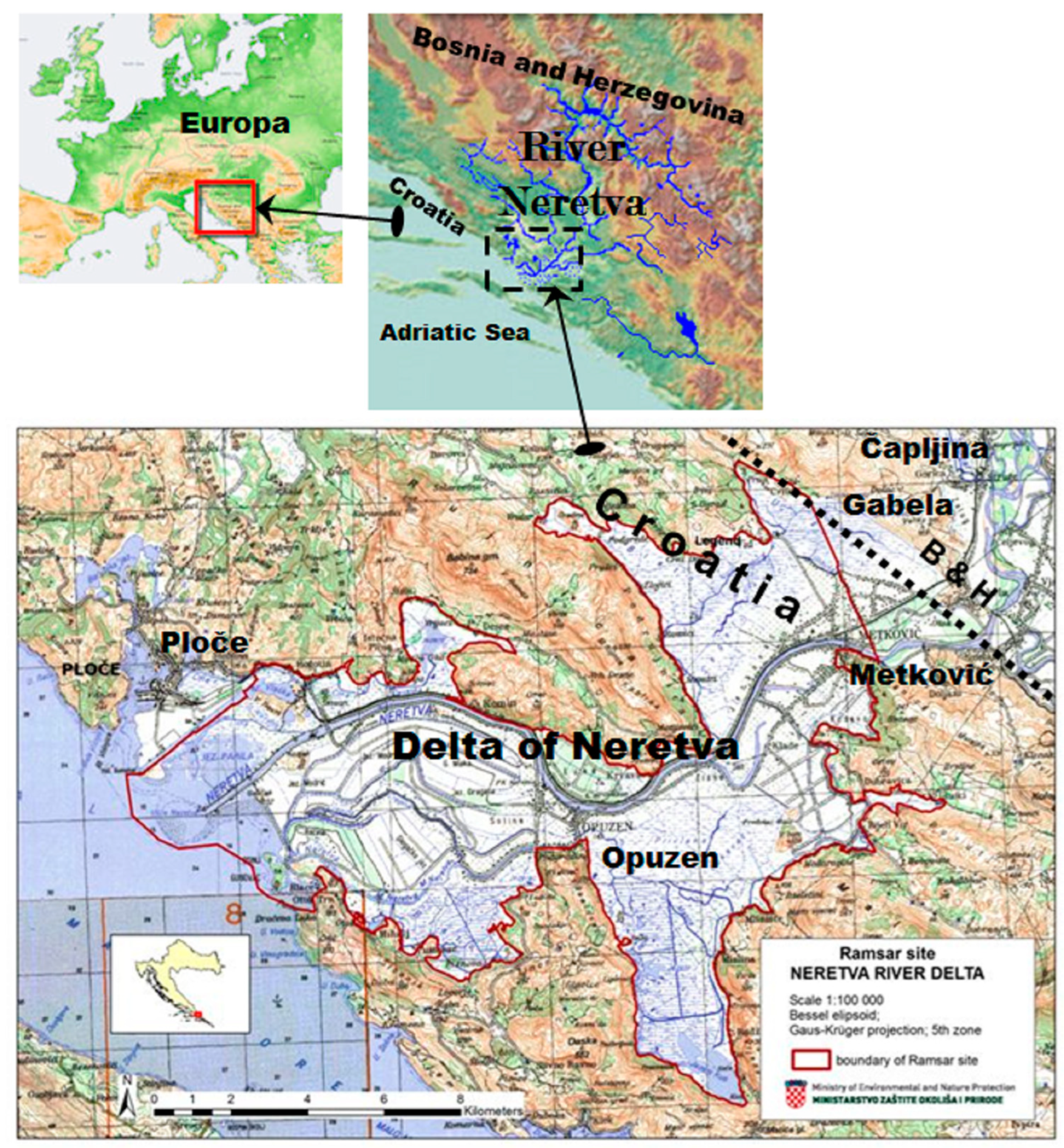 Applsci 14 06477 g001