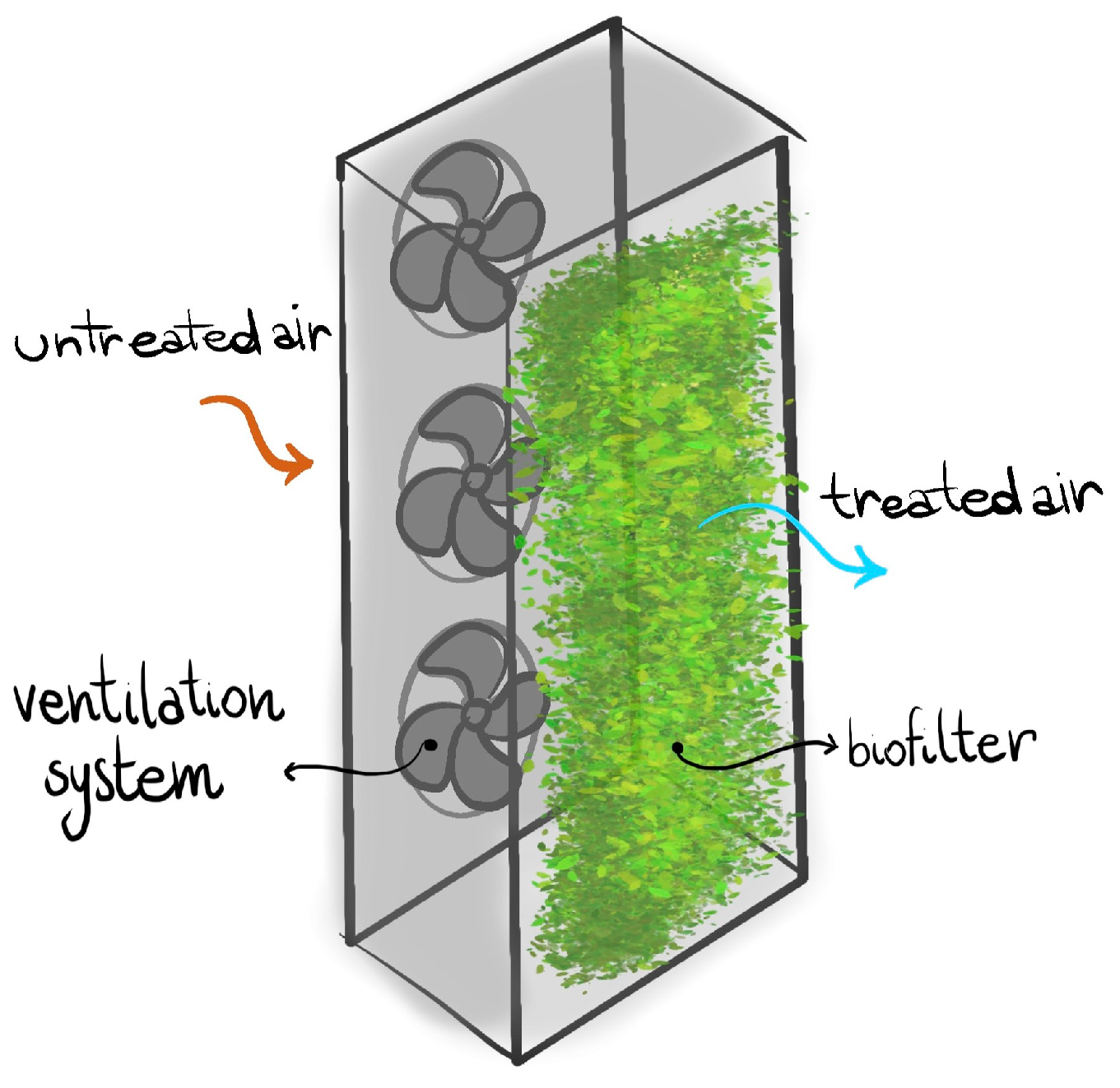 Applsci 14 06487 g006