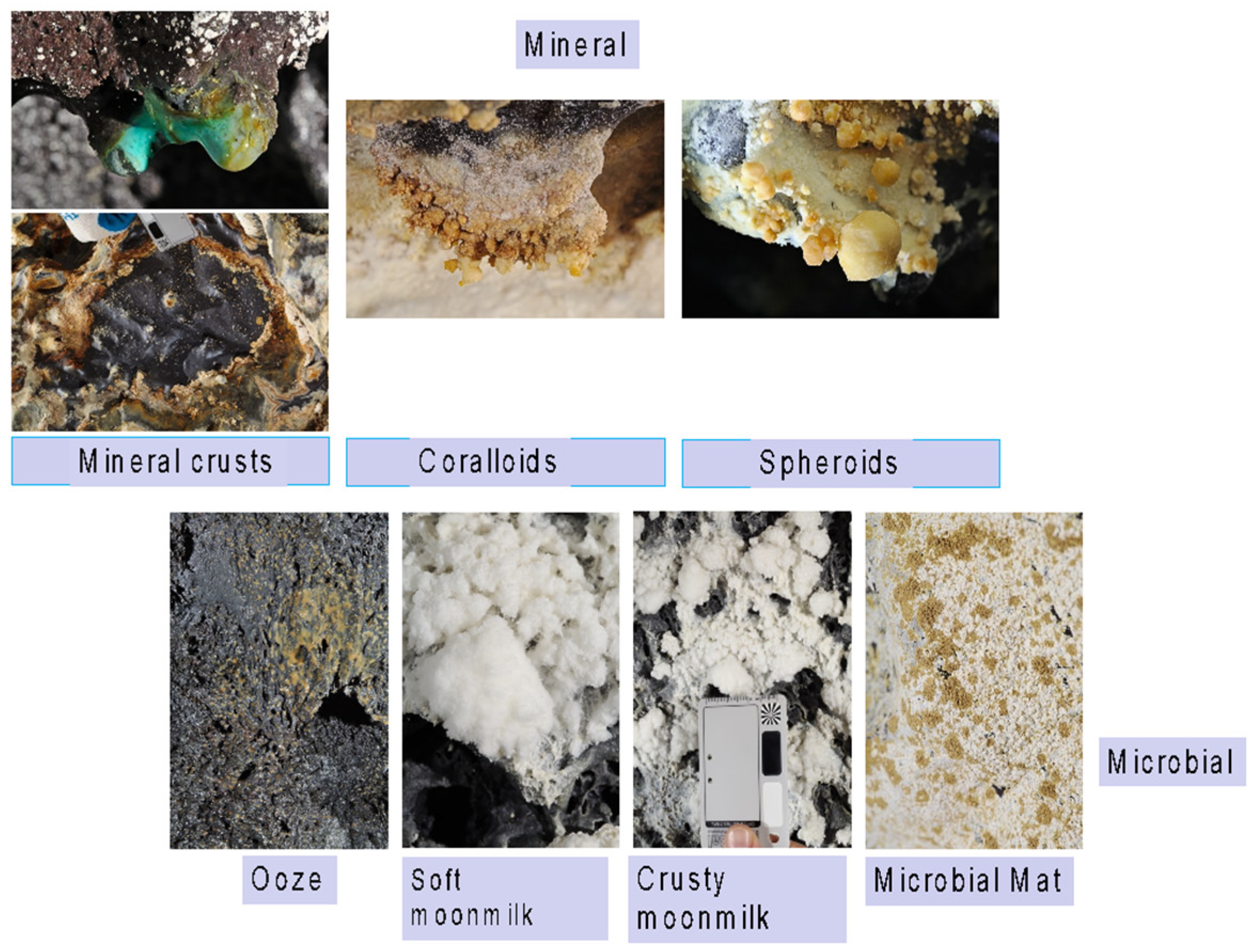 Applsci 14 06500 g001