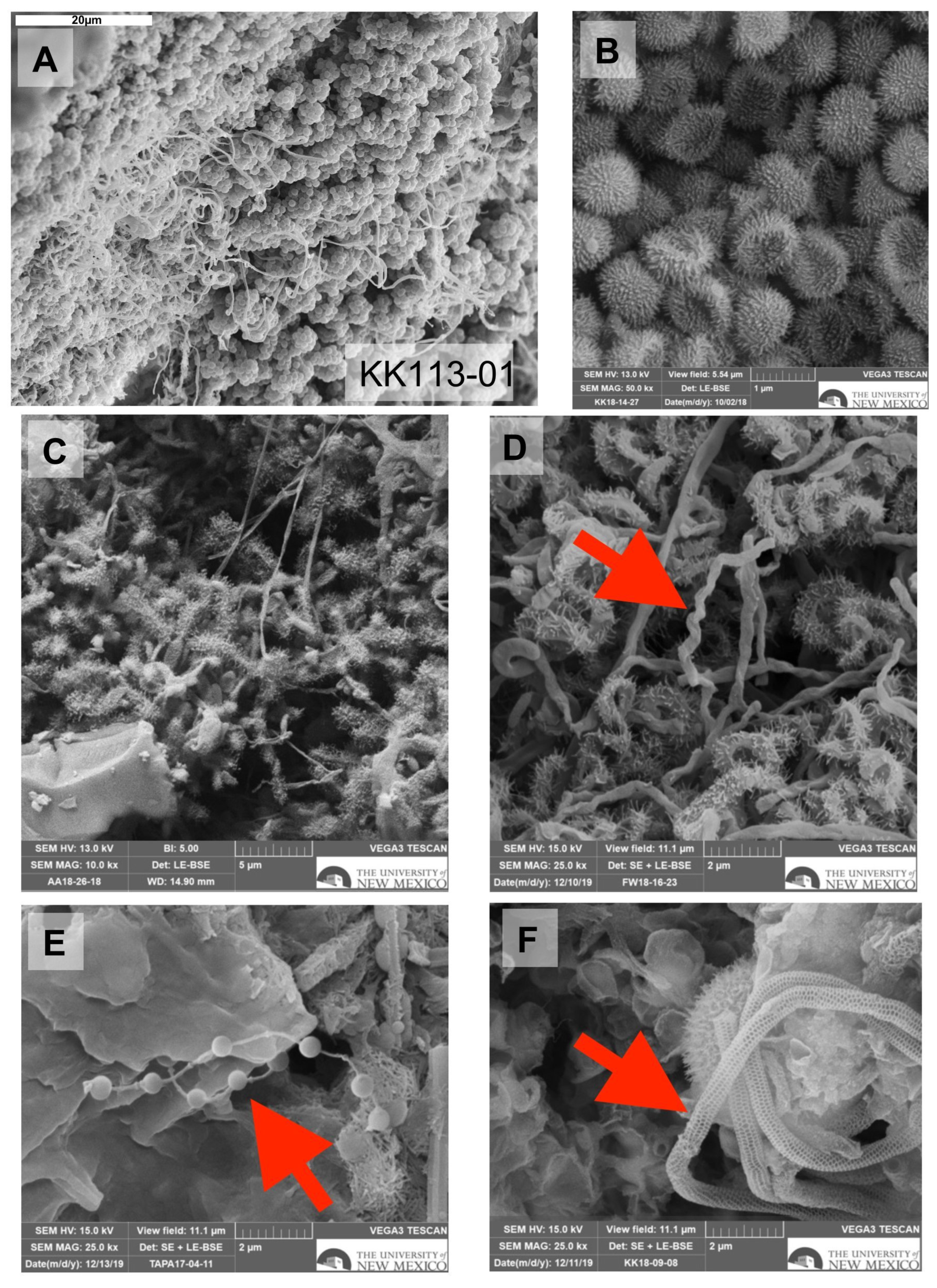 Applsci 14 06500 g009