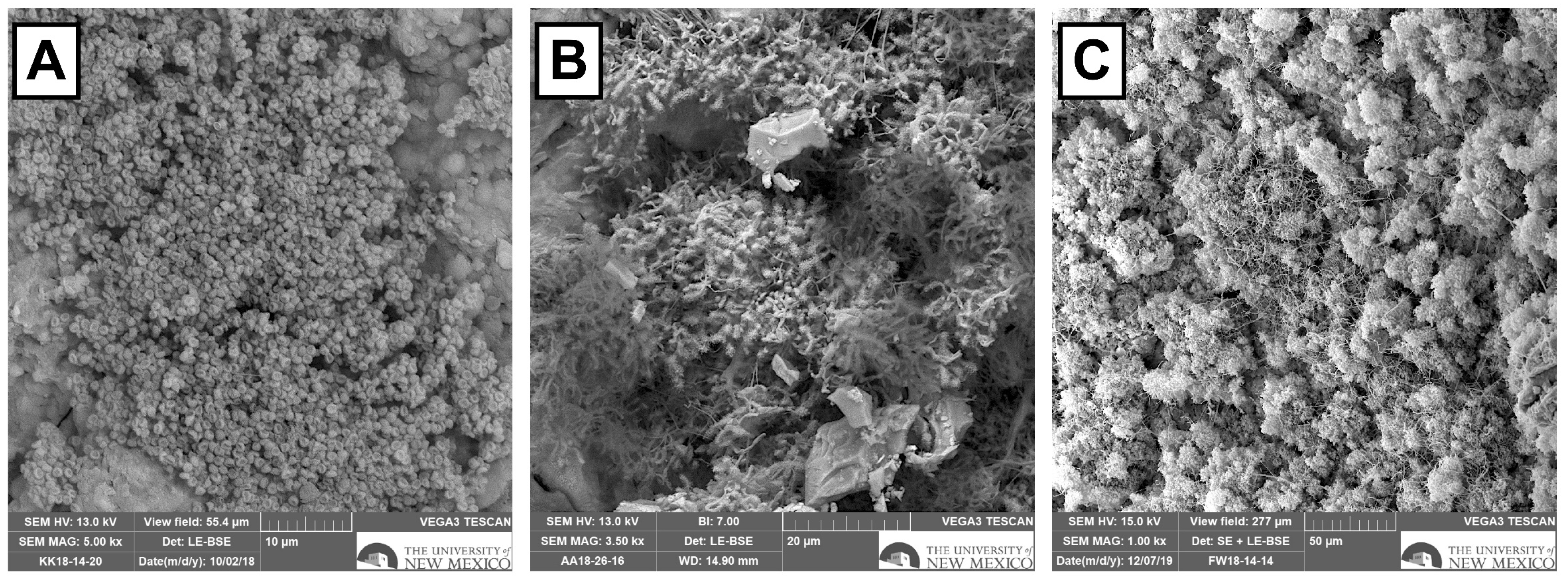 Applsci 14 06500 g010