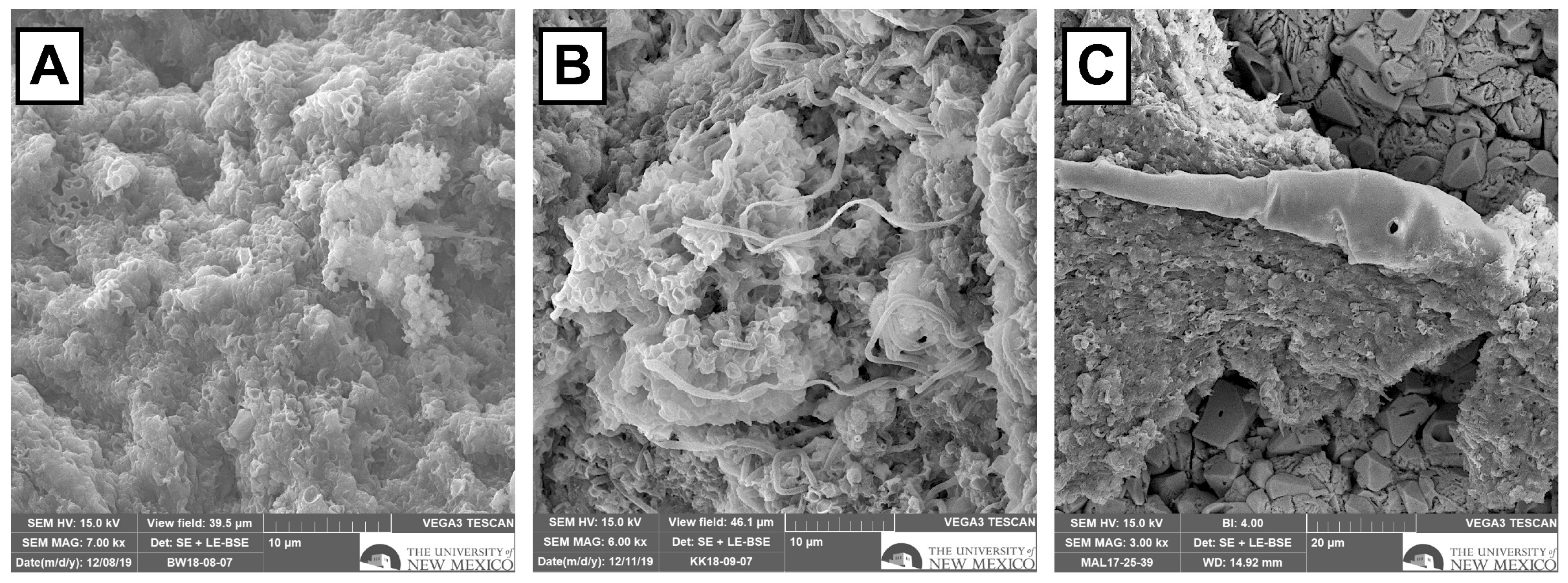 Applsci 14 06500 g011