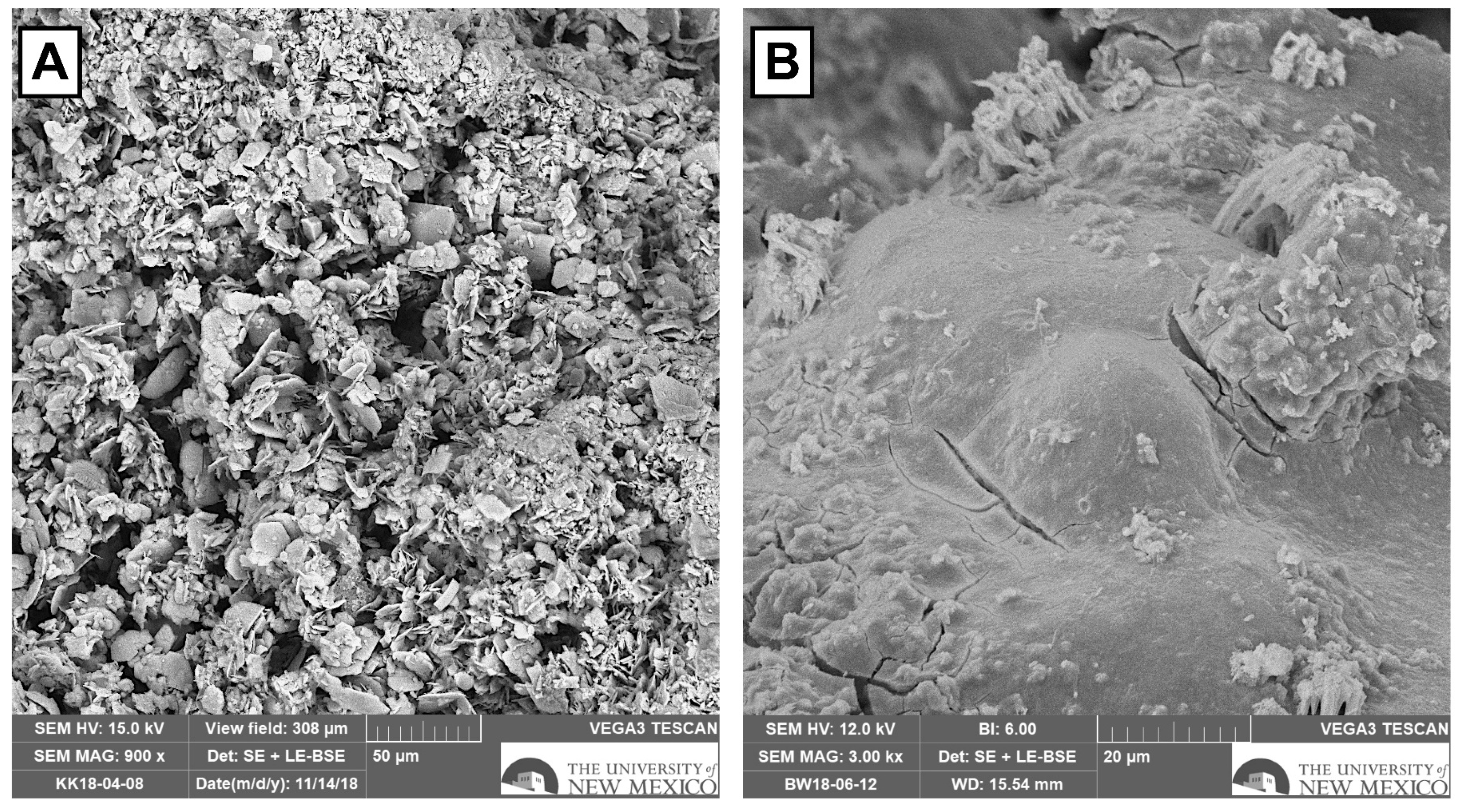 Applsci 14 06500 g012