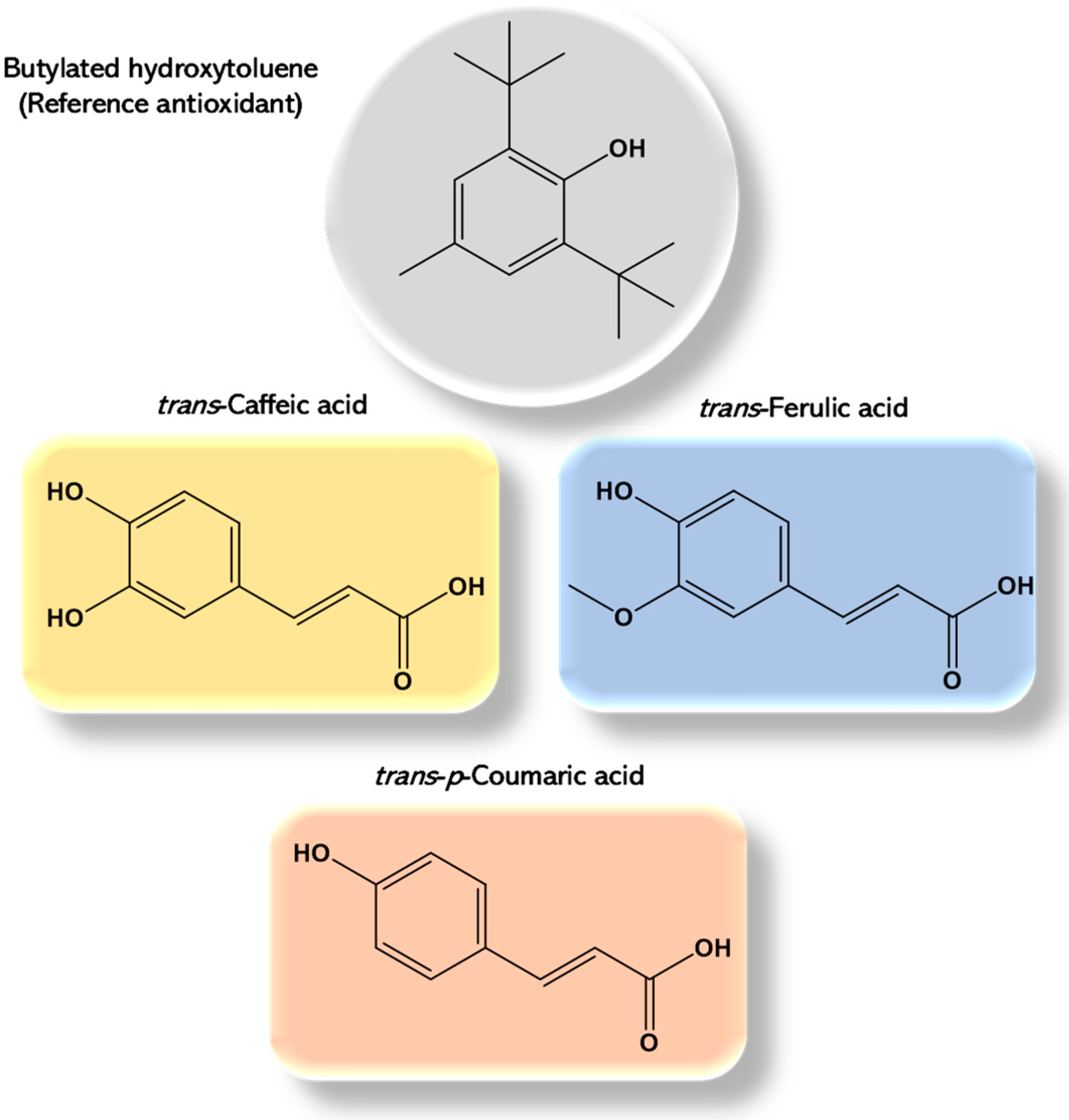 Applsci 14 06508 g001