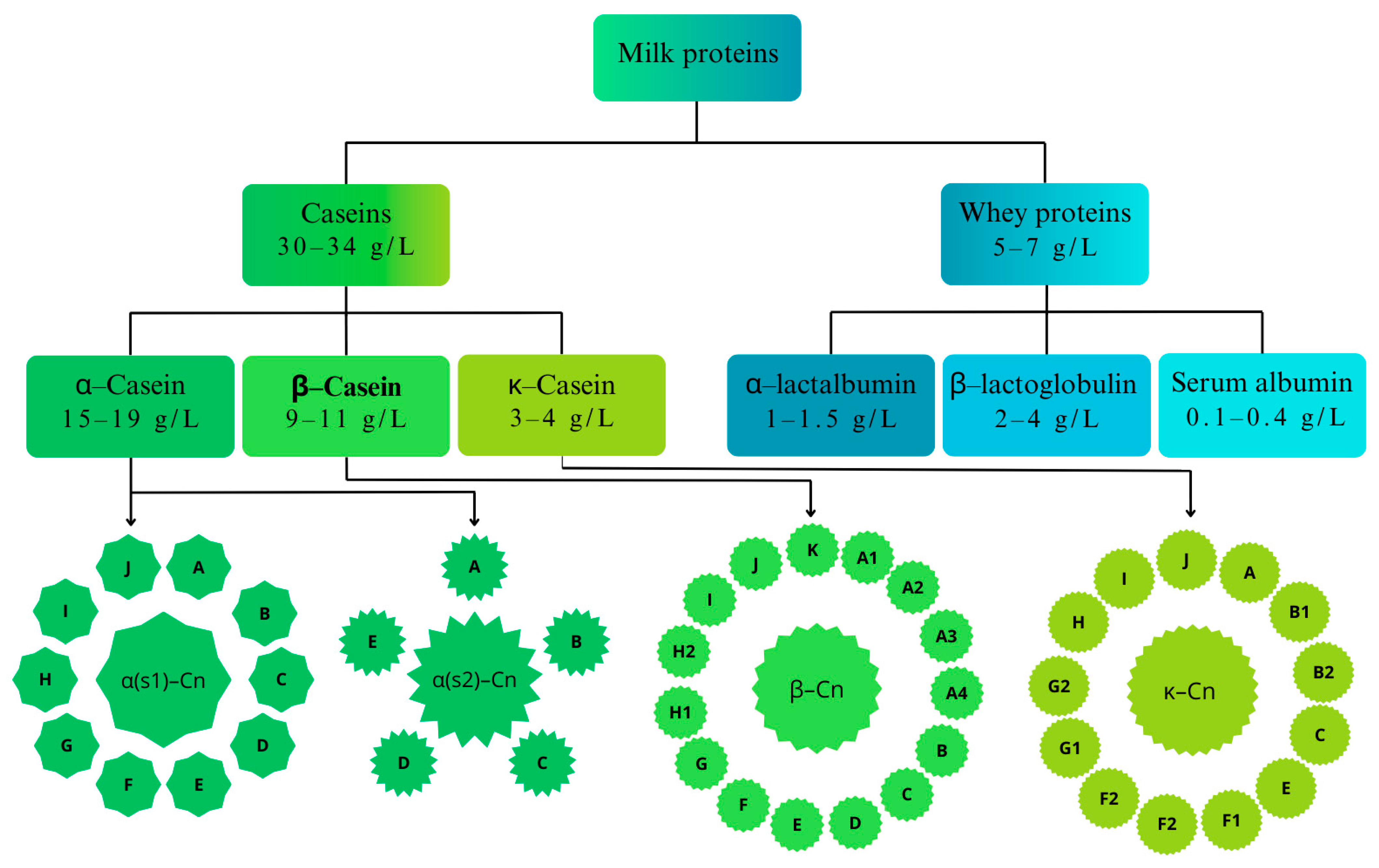 Applsci 14 06513 g001