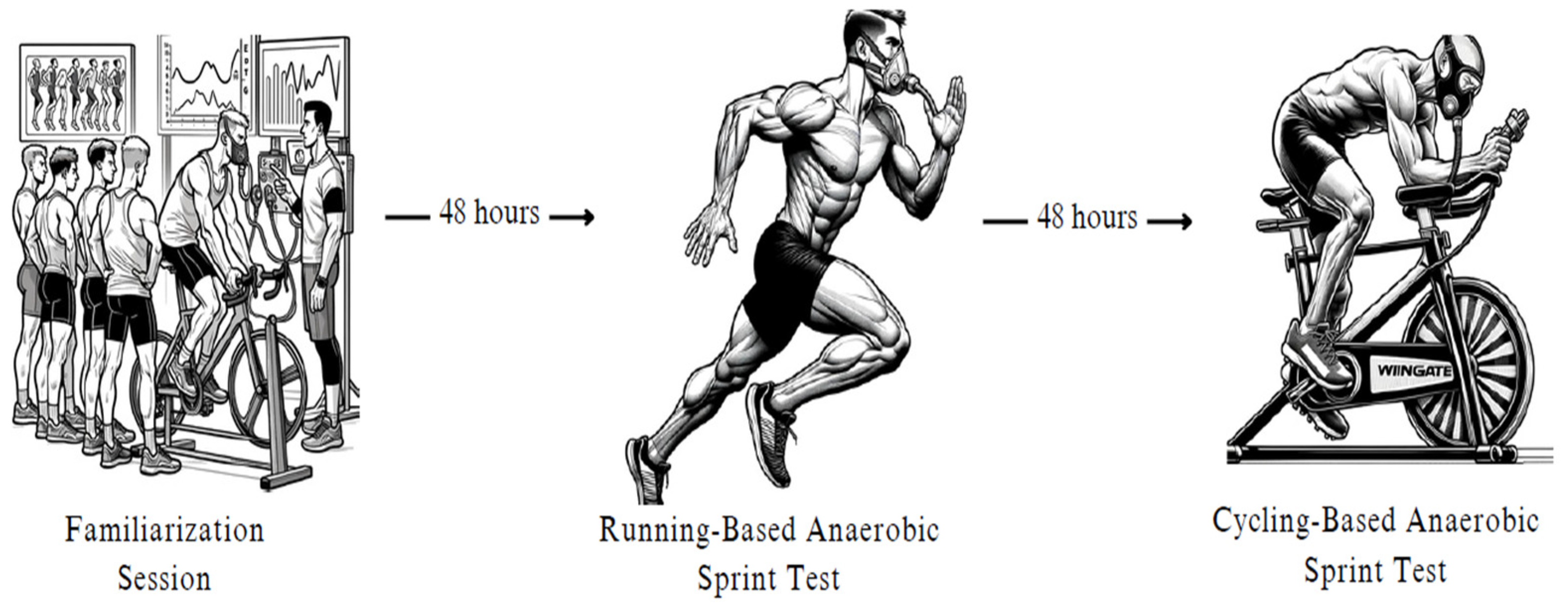 Applsci 14 06518 g001