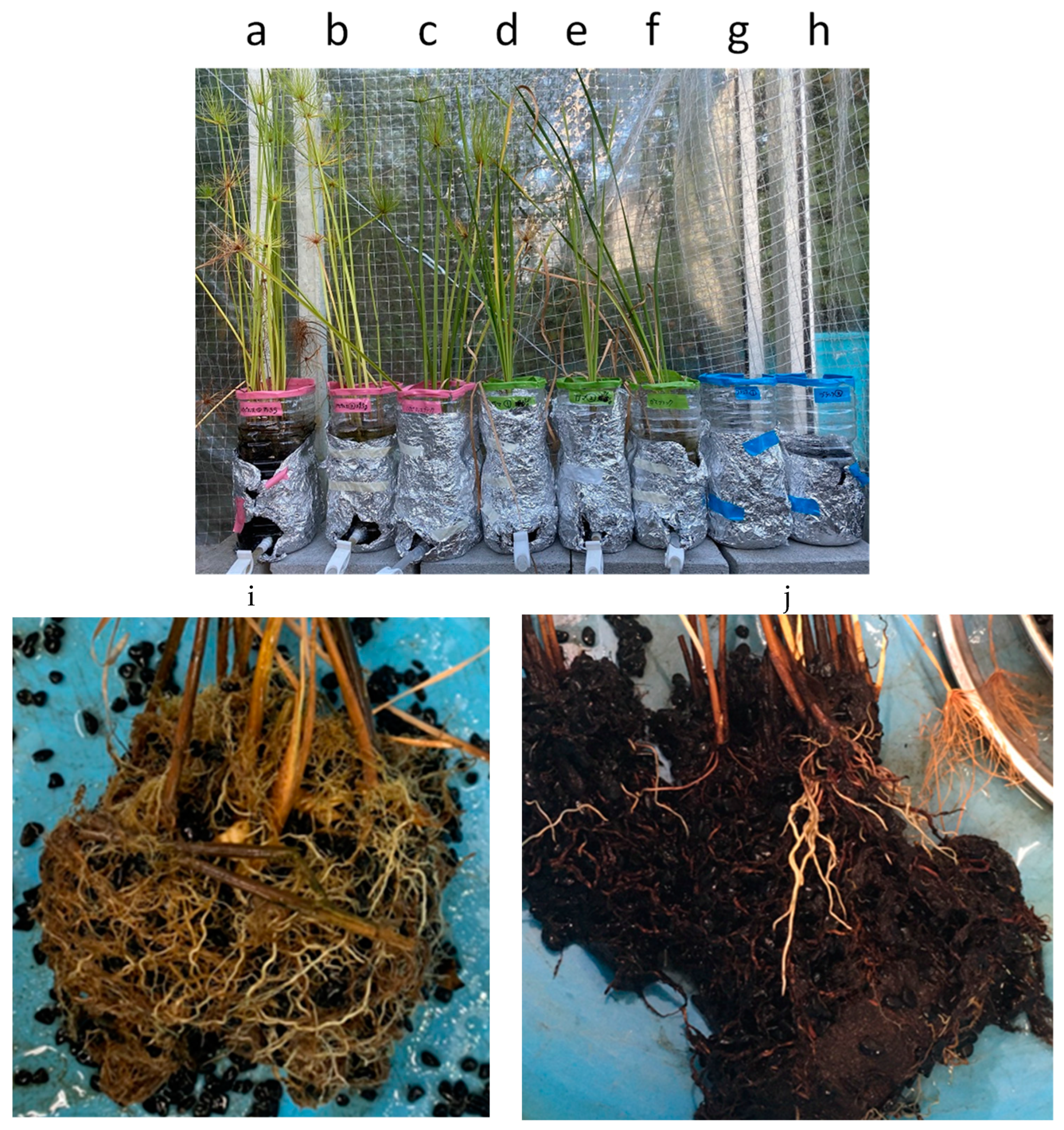 Applsci 14 06584 g001