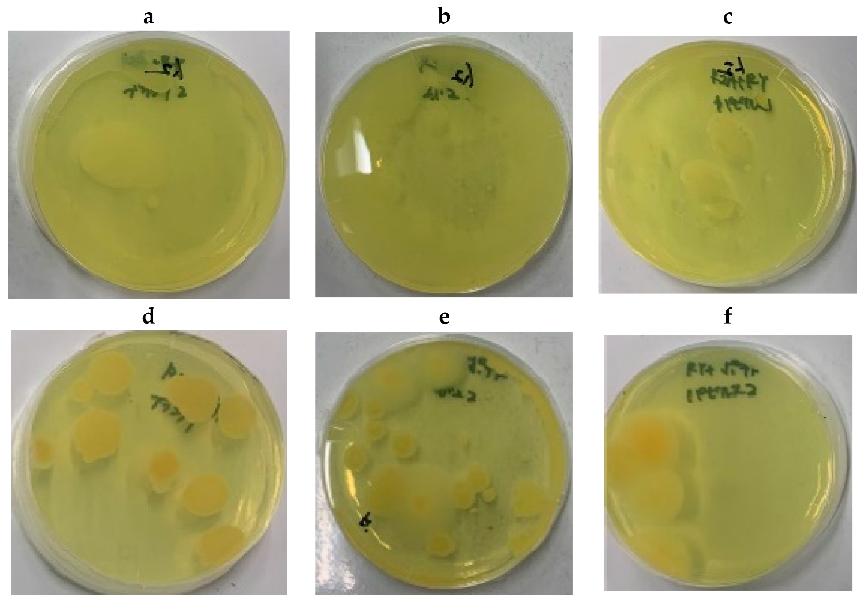 Applsci 14 06584 g006