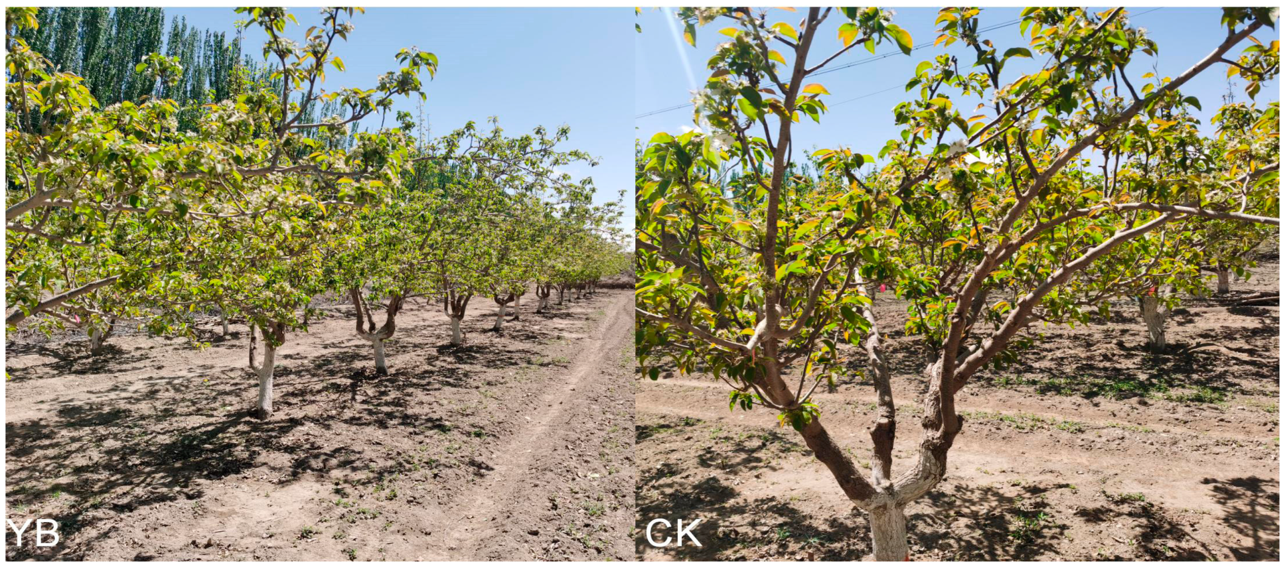 Applsci 14 06589 g001