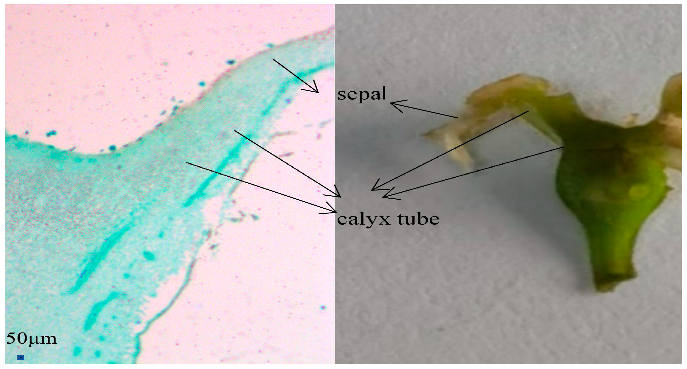 Applsci 14 06589 g003