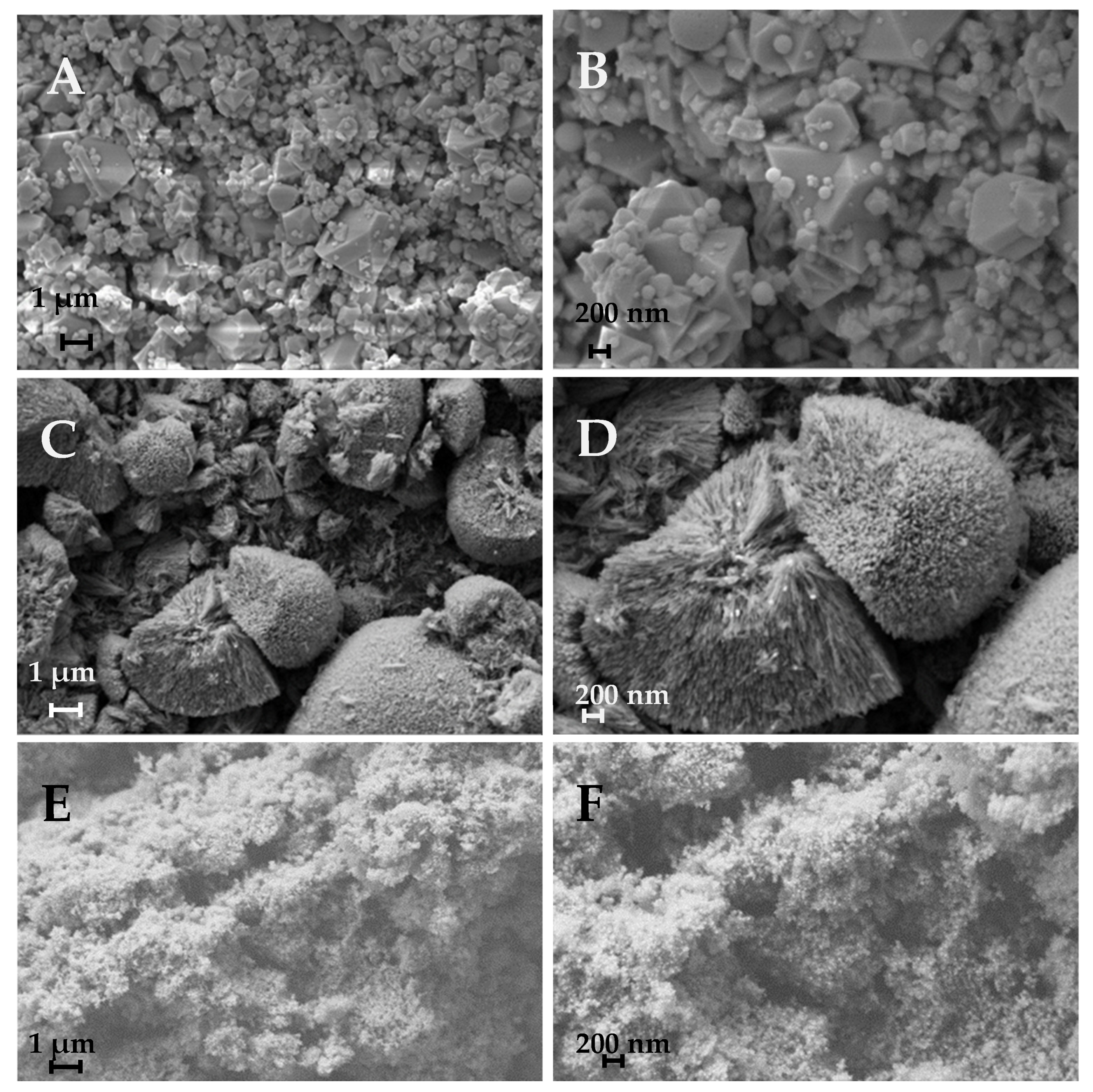 Applsci 14 06598 g001