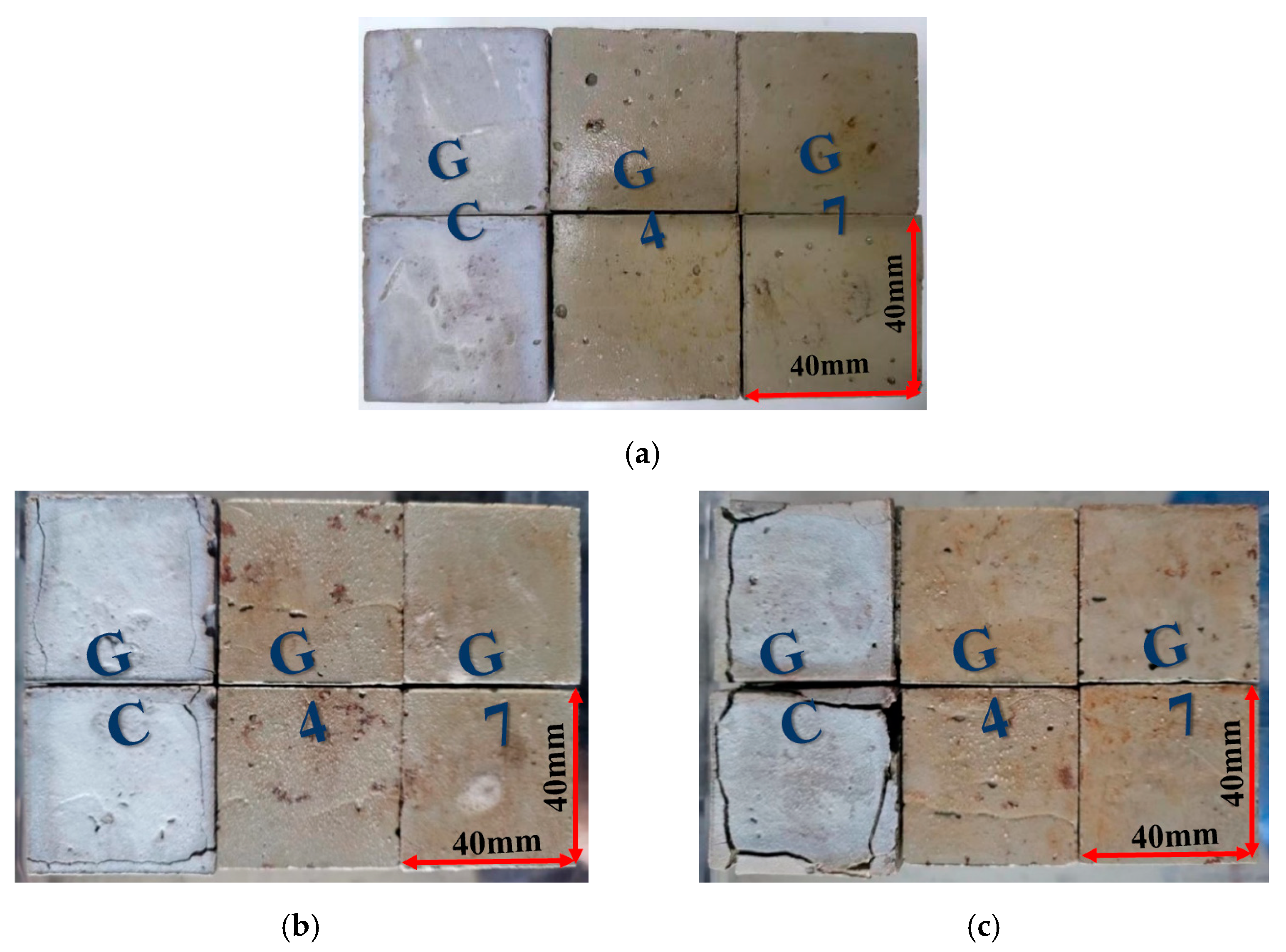 Applsci 14 06666 g009