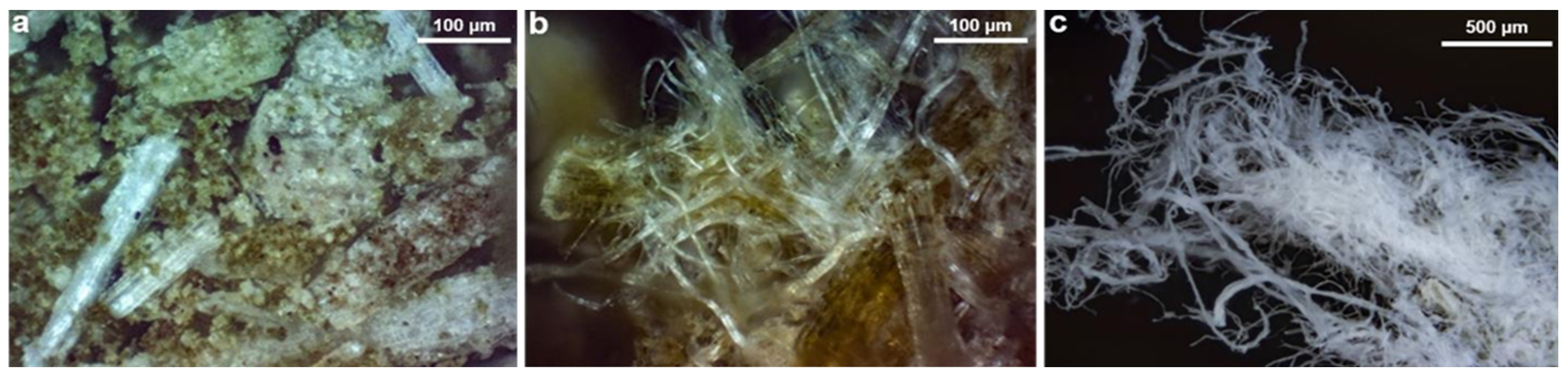 Applsci 14 06680 g004