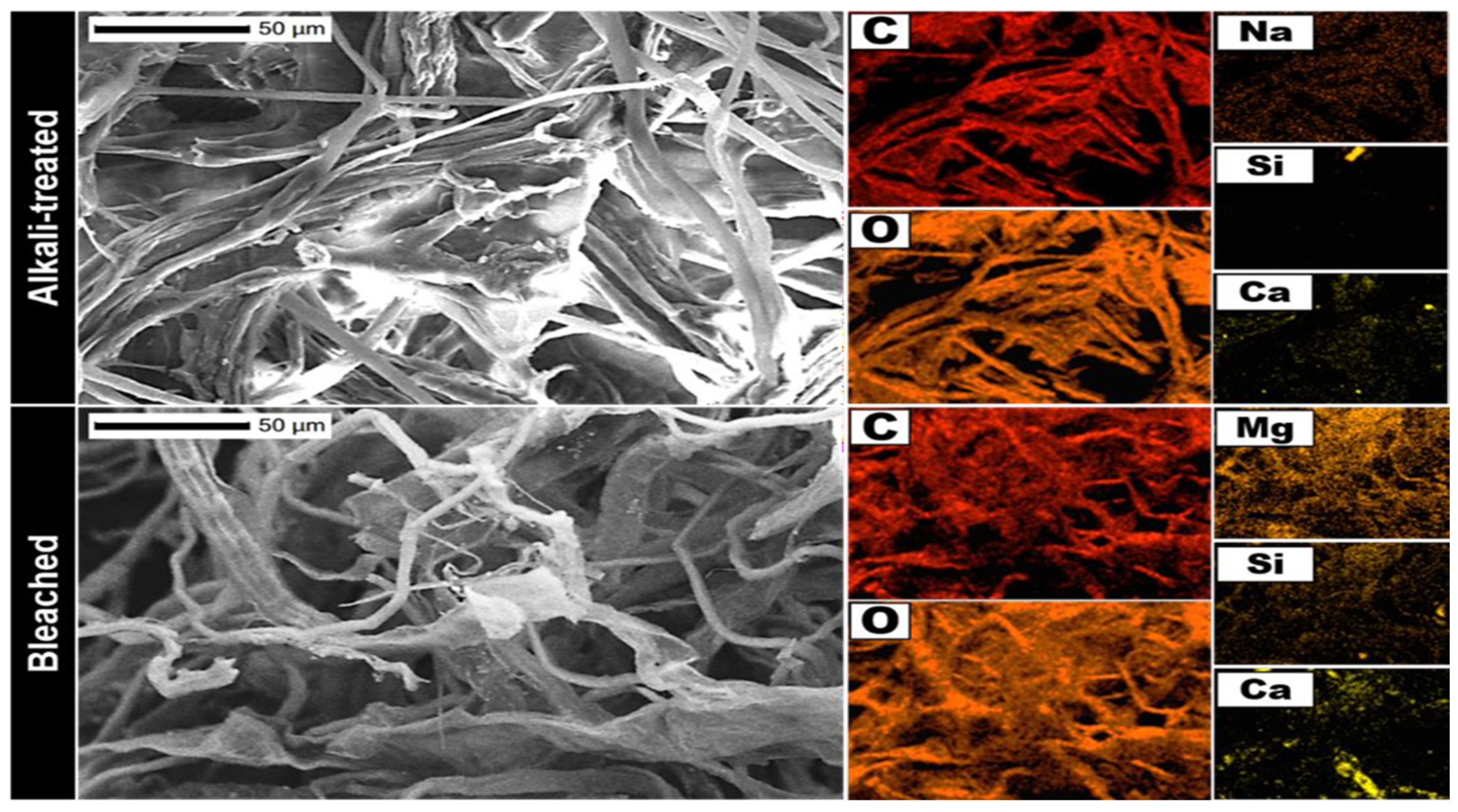 Applsci 14 06680 g006