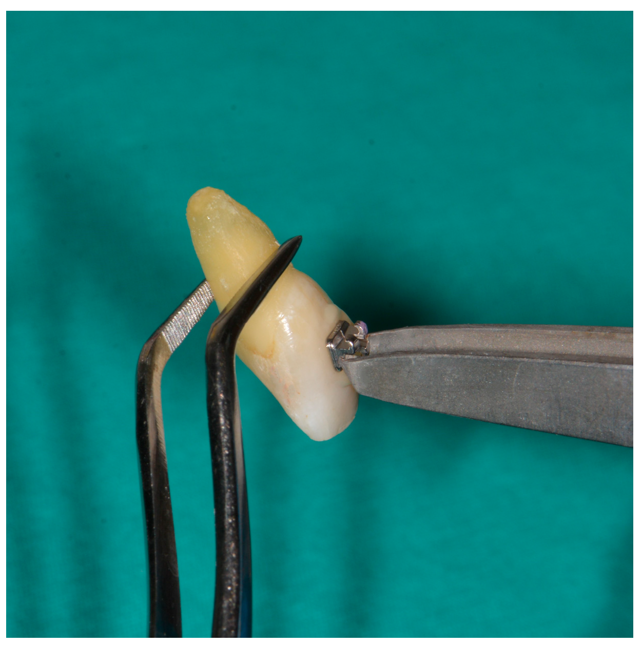 Applsci 14 06692 g002