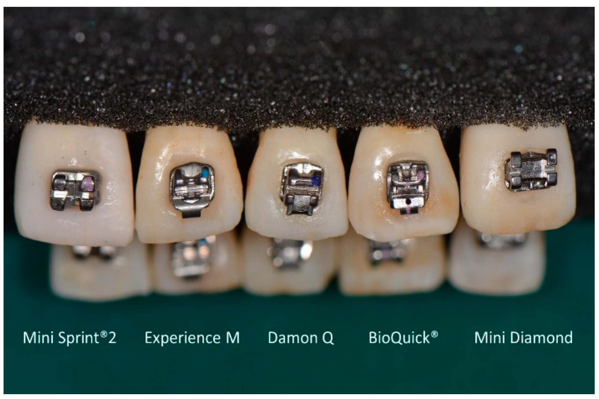 Applsci 14 06692 g003