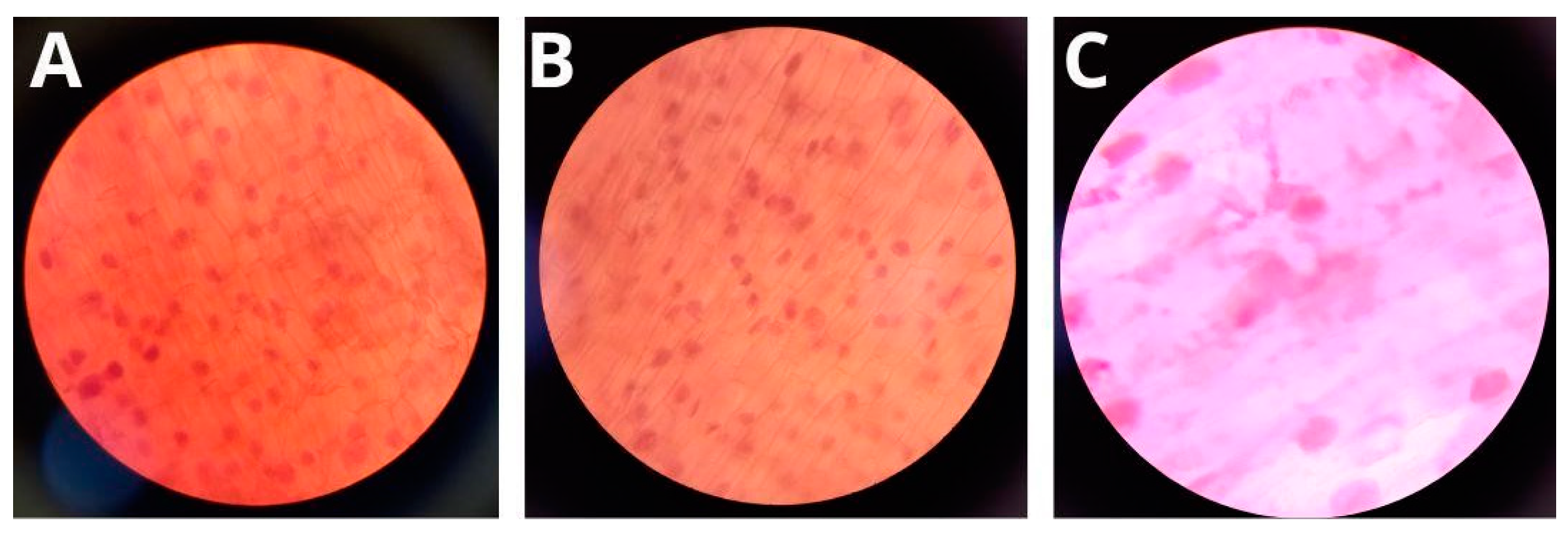 Applsci 14 06711 g010