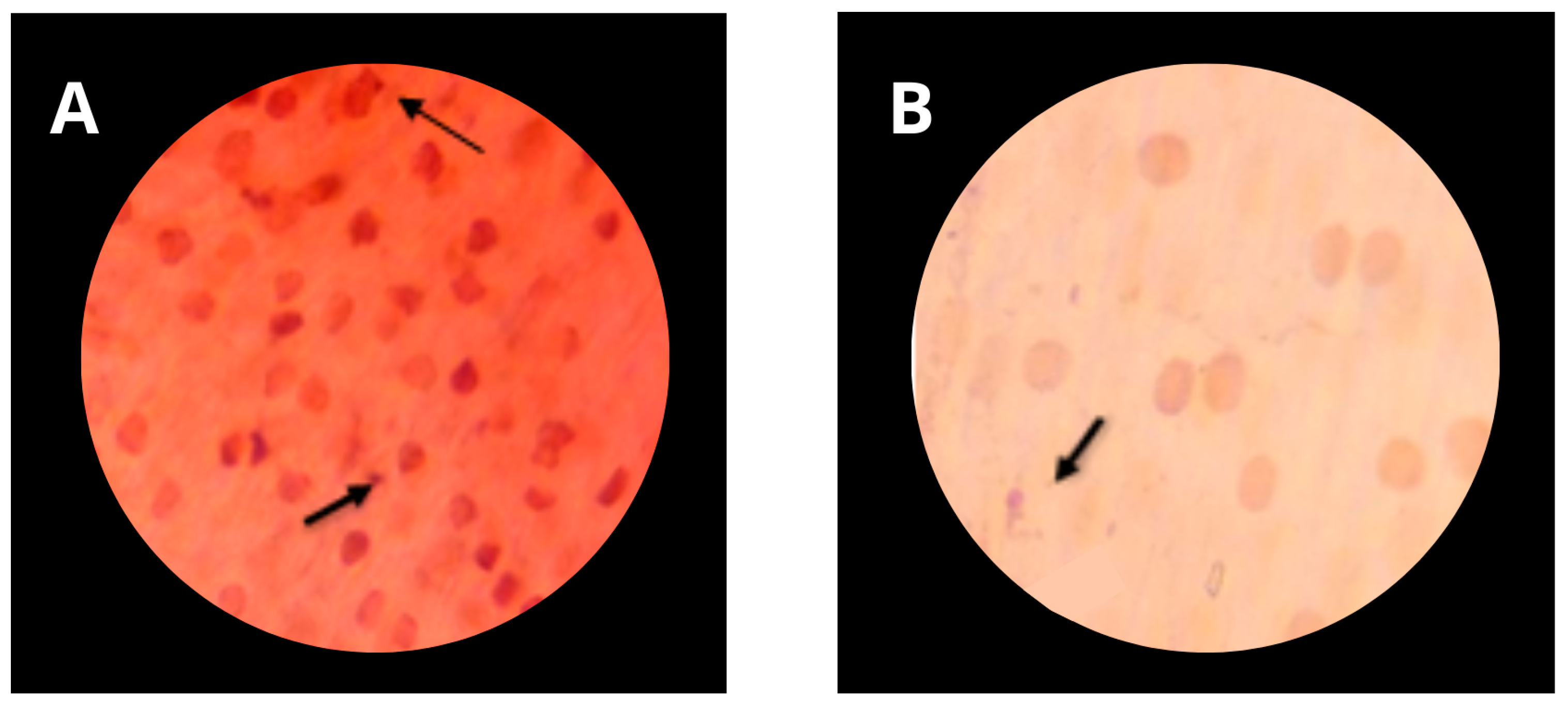 Applsci 14 06711 g011